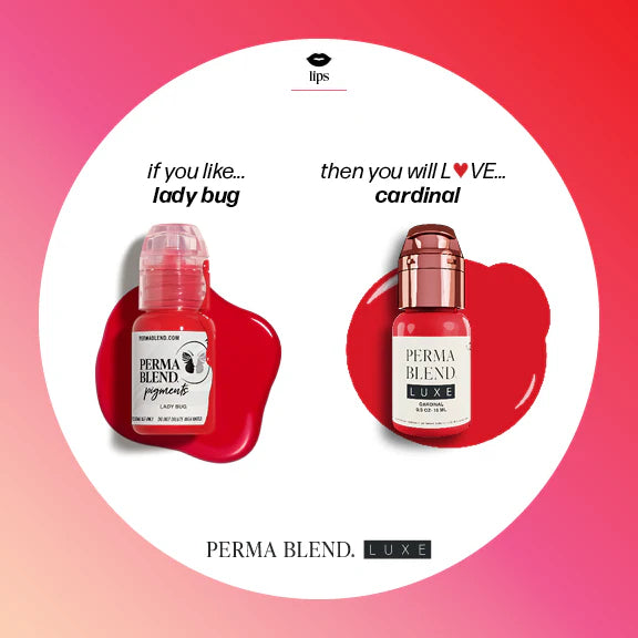 Lip Pigment – Perma Blend LUXE Lip Pigment Cardinal 15ml | Lip Blush Pigment, Lip Tattoo Ink, SPMU Lip Color, Semi Permanent Makeup Lip Shade