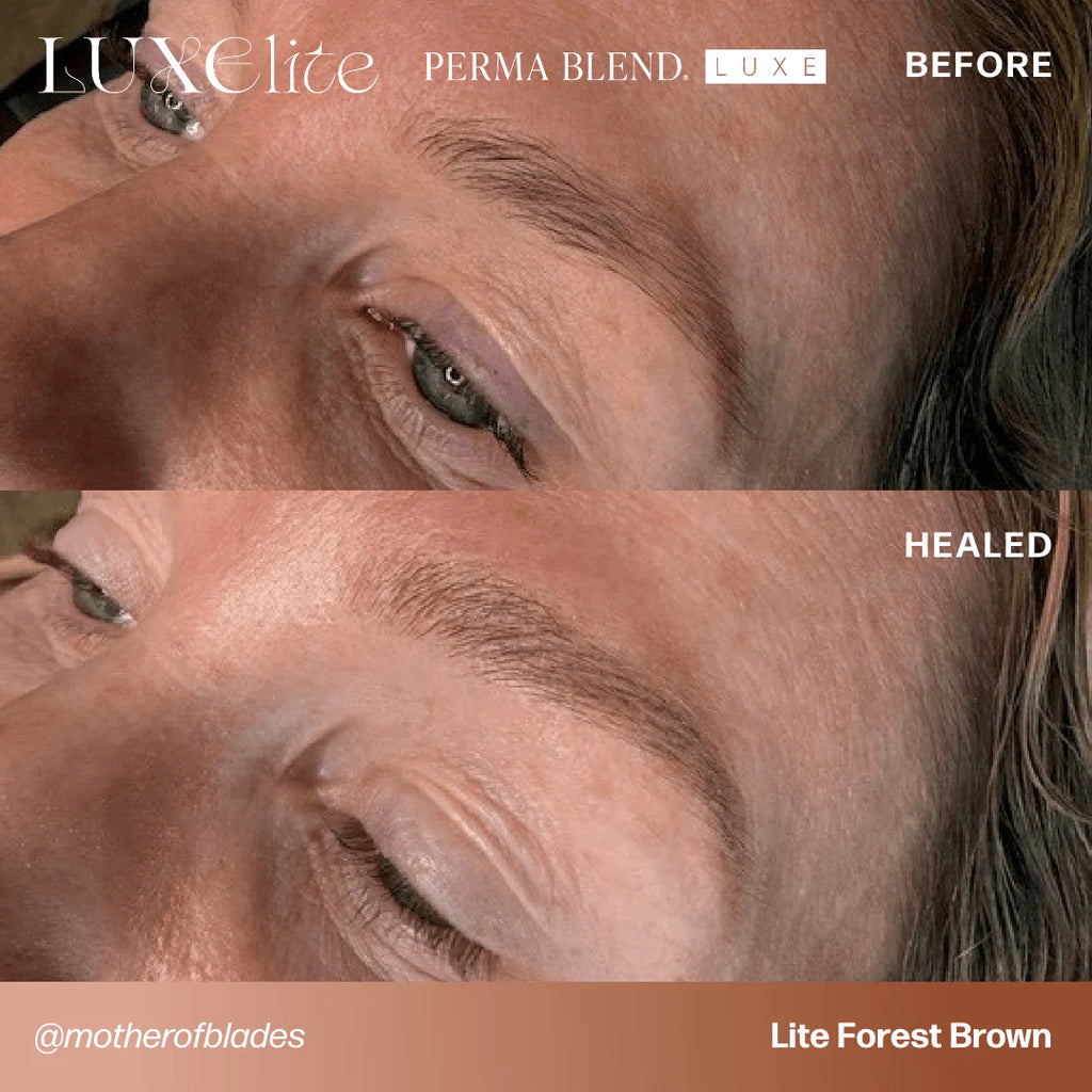 Eyebrow Pigment – Perma Blend LUXE Lite Forest Brown 15ml | Permanent Makeup SPMU Brow Ink for Nano Brows, Microblading, Ombré Brows & Powder Brows | Professional PMU Pigment