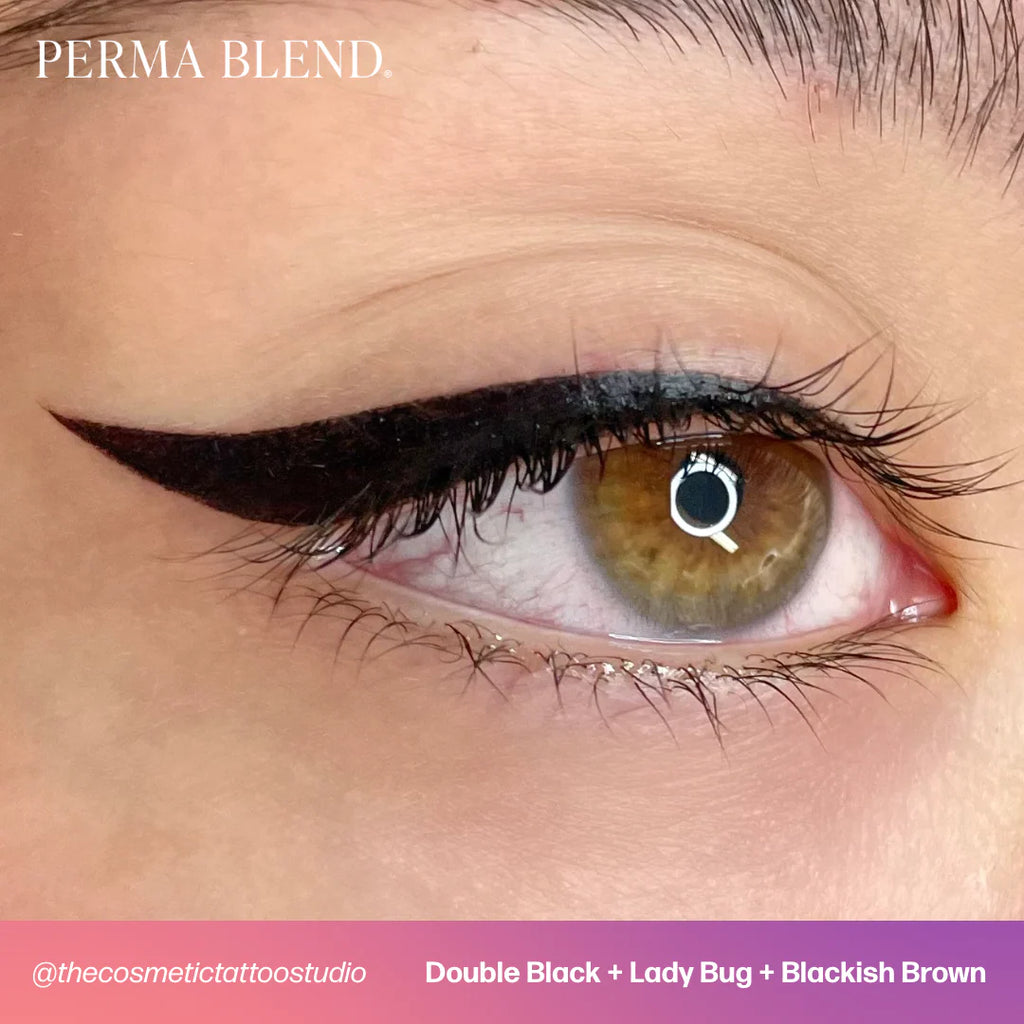 Eyeliner Pigment – Perma Blend Double Black 15ml | Permanent Makeup SPMU Eyebrow Ink for Microblading, Ombré Brows & Powder Brows | Professional Brow Pigment