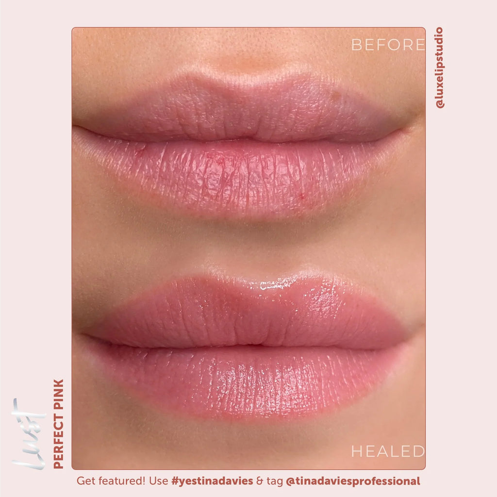 Lip Pigments - Lust Lip Pigments Perfect Pink 15ml – Tina Davies x Perma Blend | Warm Orange-Red PMU Lip Blush Pigment for Lip Neutralization & Lip Tattoo Ink