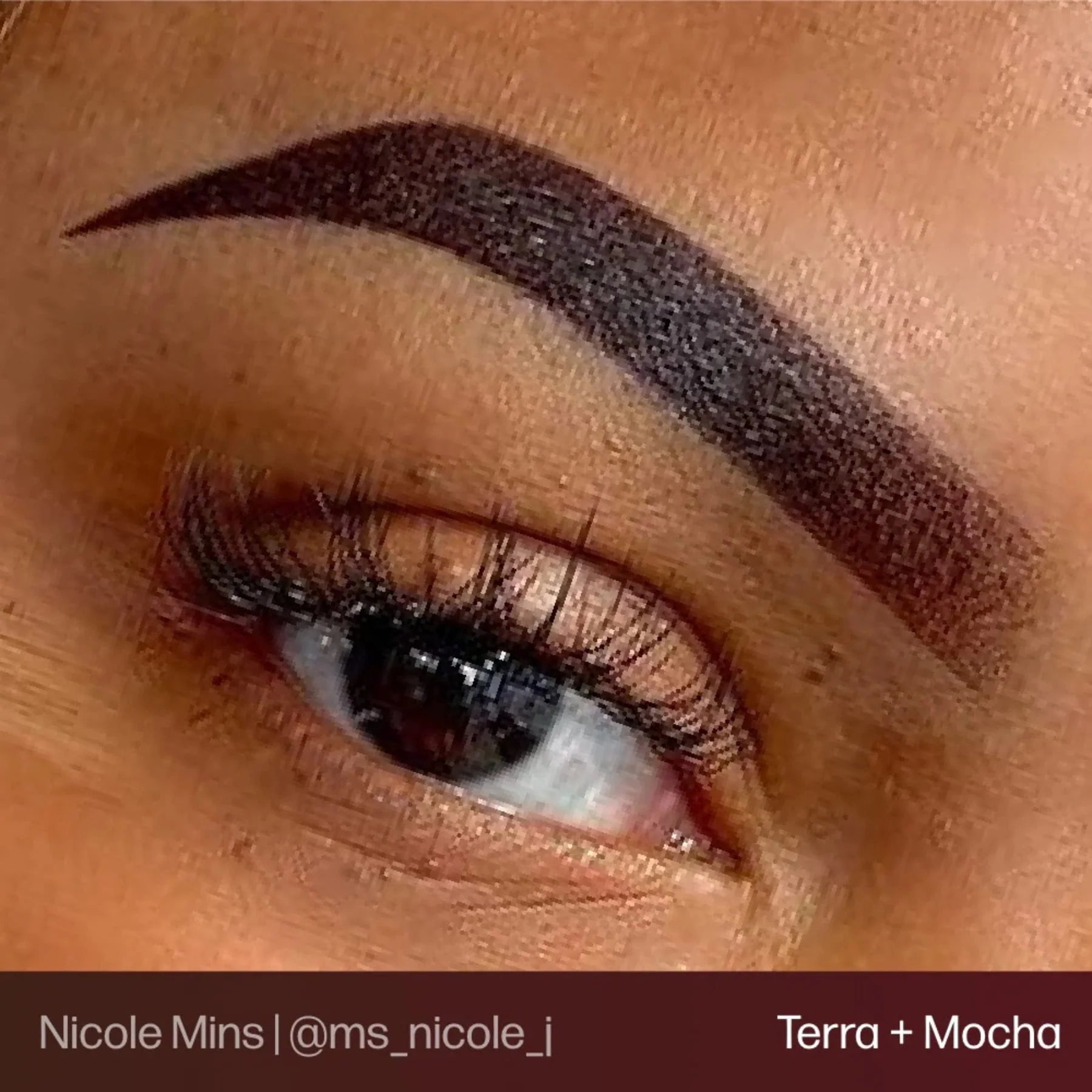Eyebrow Pigment Terra 15ml – Evenflo Colours Permanent Makeup Brow Ink for Microblading, Ombré Brows, Powder Brows | Professional SPMU Eyebrow Pigment for Long-Lasting Natural Brown Results