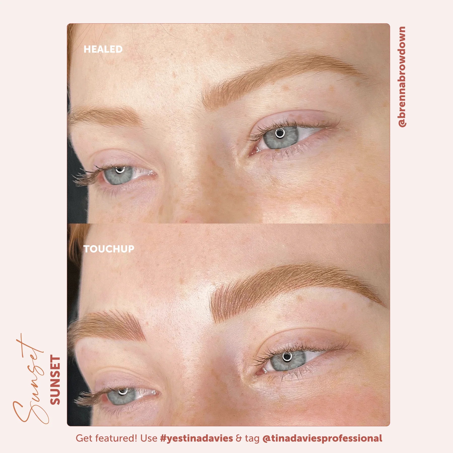 Brow Pigment Set – Perma Blend Sunset Brow Collection 4x15ml | Eyebrow Pigment Set, Eyebrow Coloring Ink, SPMU Brow Tattoo Pigments, Microblading & Shading Colors