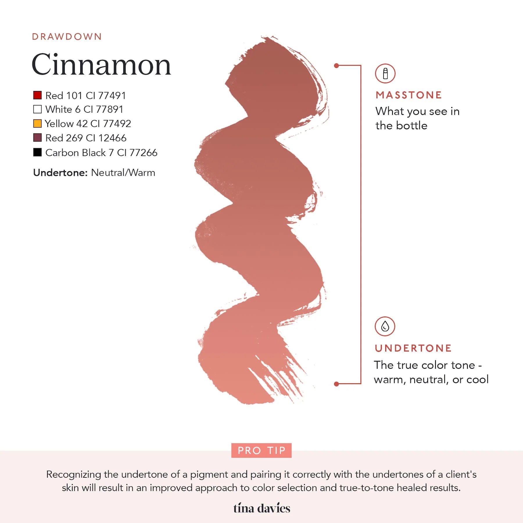 Lip Pigments – Envy Lip Pigments Cinnamon 15ml | Tina Davies x Perma Blend Luxe Professional PMU Lip Blush Pigment for Lip Neutralization, Lip Correction & Lip Tattoo Ink