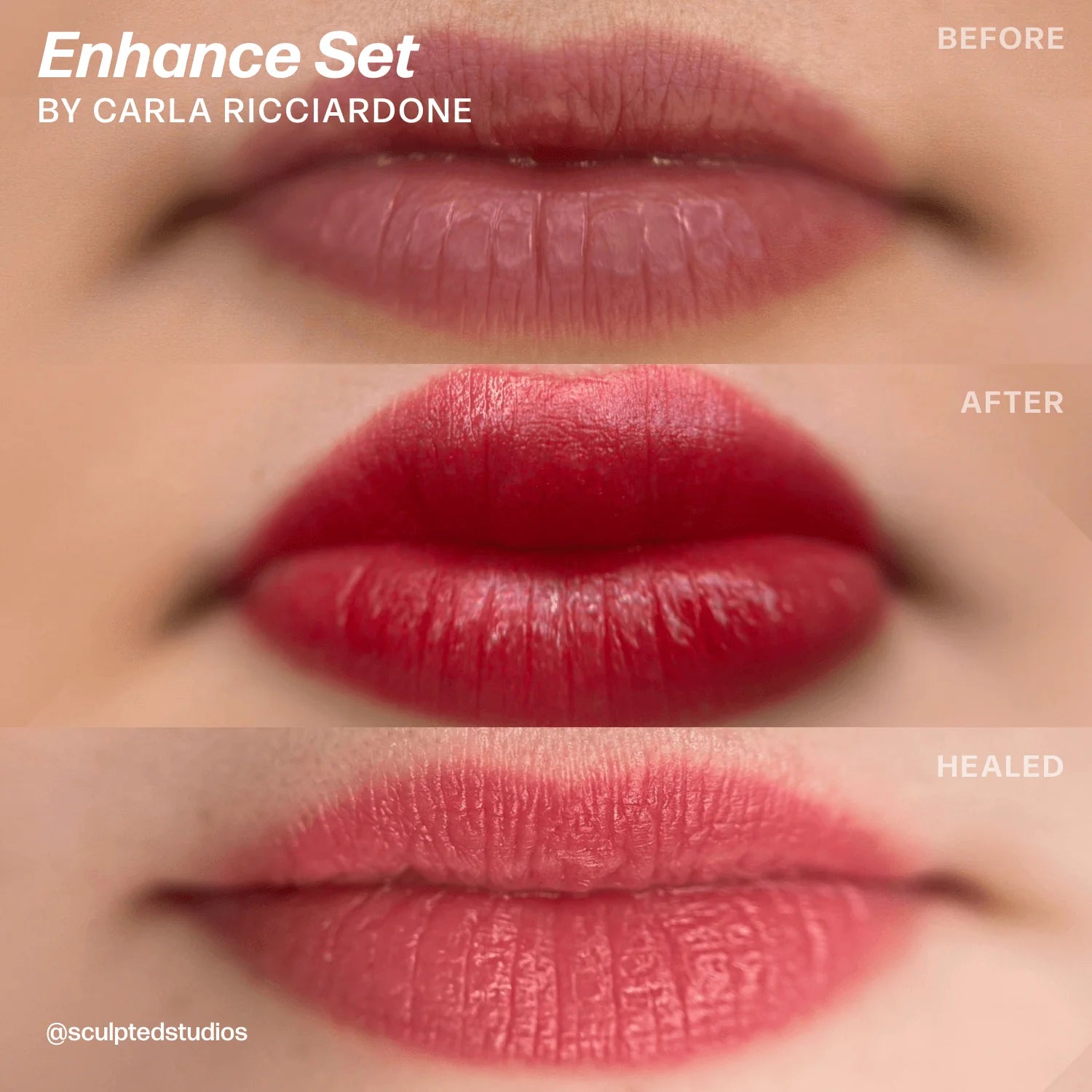 Lip Pigment Set – Perma Blend LUXE Enhance Set 8x15ml by Sculpted (Carla Ricciardone Enhance) | Lip Blush Pigment Set, Lip Tattoo Ink, SPMU Lip Color, Semi Permanent Makeup Lip Shades