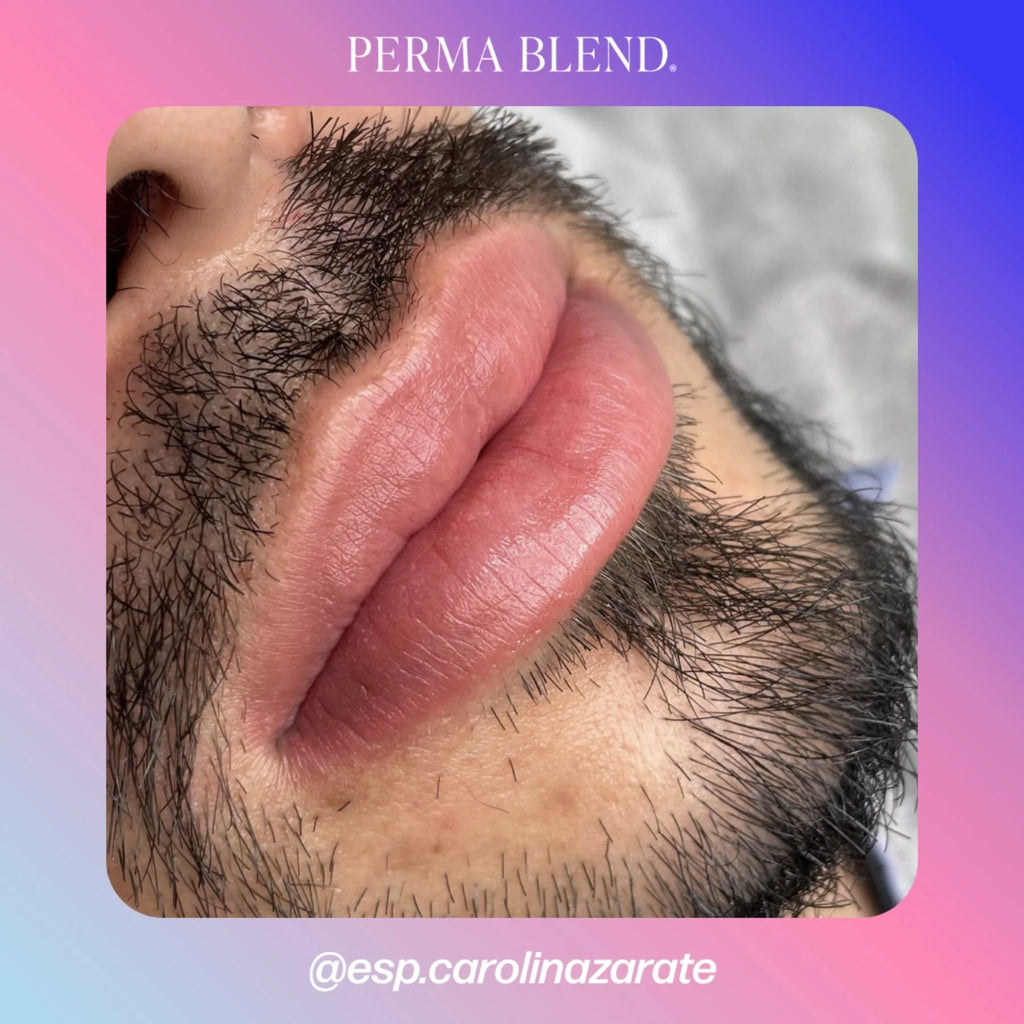 Lip Pigments – Perma Blend Lip Pigment Bazooka 15ml | Perma Blend Professional PMU Lip Blush Pigment for Lip Neutralization, Lip Correction, Lip Tattoo & Semi Permanent Makeup Ink
