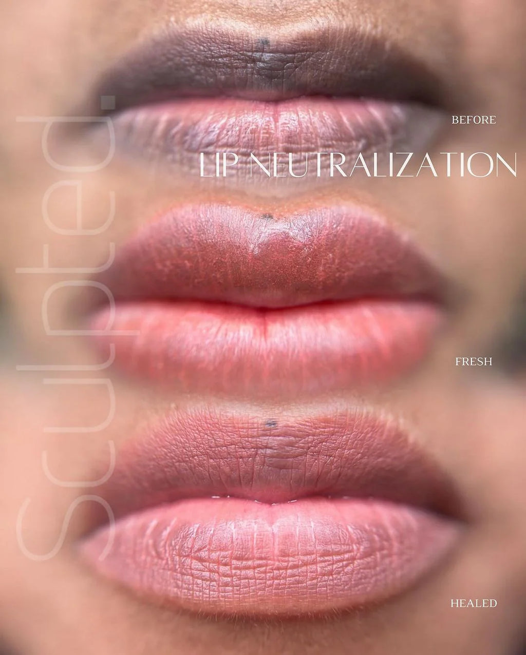 Lip Pigment – Perma Blend LUXE  Lip Shades | Lip Color Embody MOD 2 15ml by Carla Ricciardone | Lip Shades Collection | PMU Lip Blush & Modern Neutral Lip Color