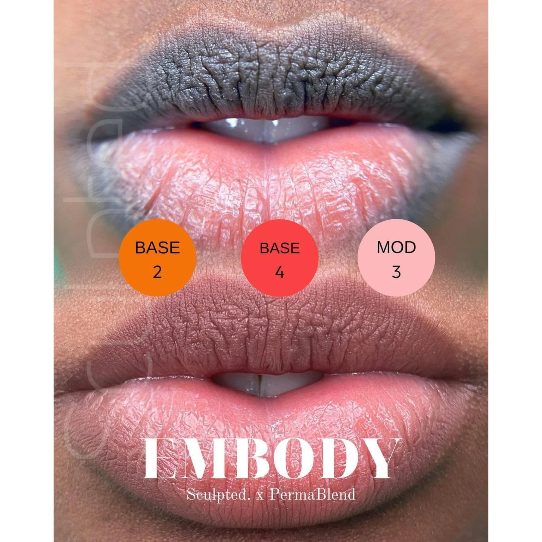 Lip Pigment - Perma Blend LUXE Embody Base 2 15ml by Carla Ricciardone | Lip Shades Collection | PMU Lip Blush & Neutral Base Lip Color