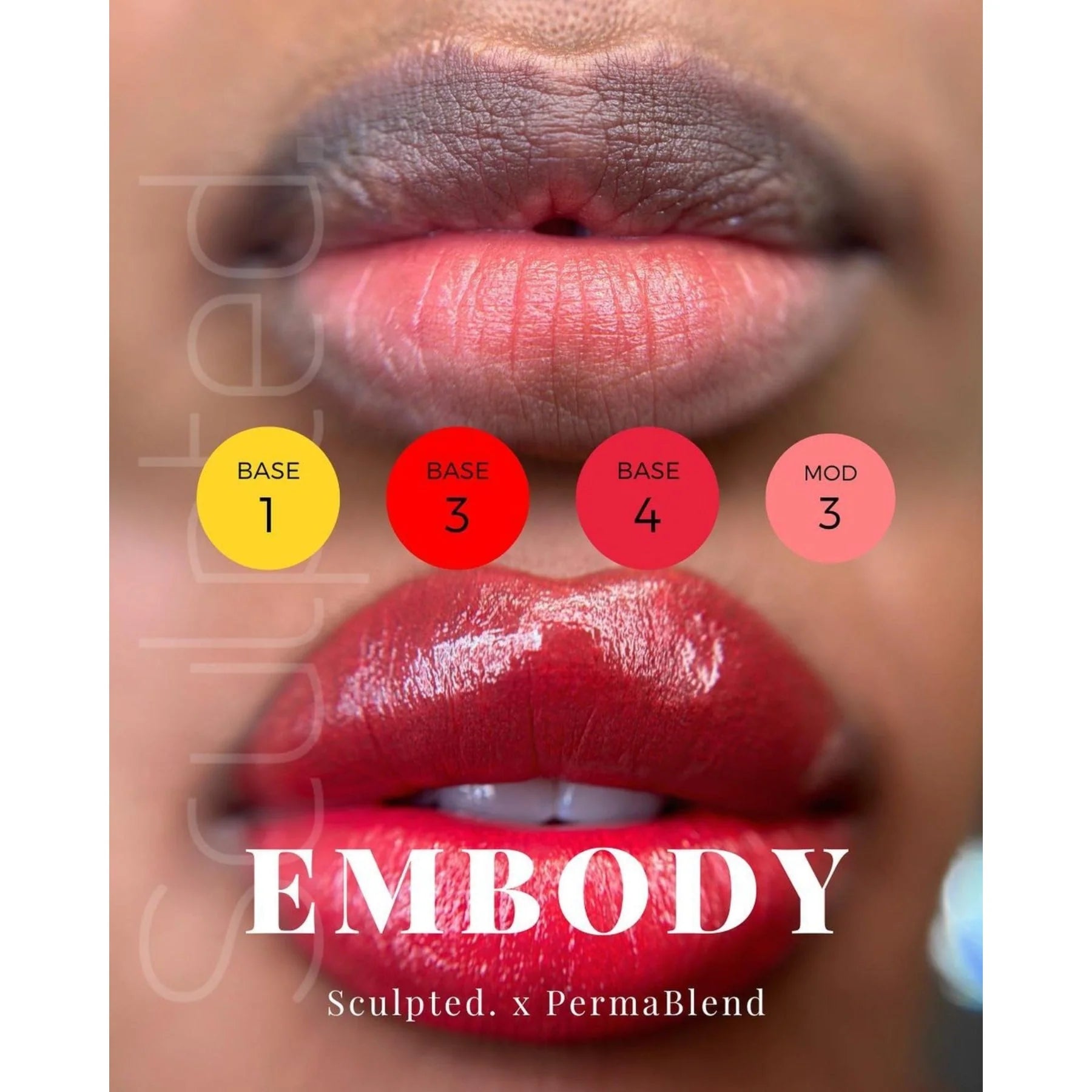 Lip Pigment - Perma Blend LUXE Embody Base 2 15ml by Carla Ricciardone | Lip Shades Collection | PMU Lip Blush & Neutral Base Lip Color