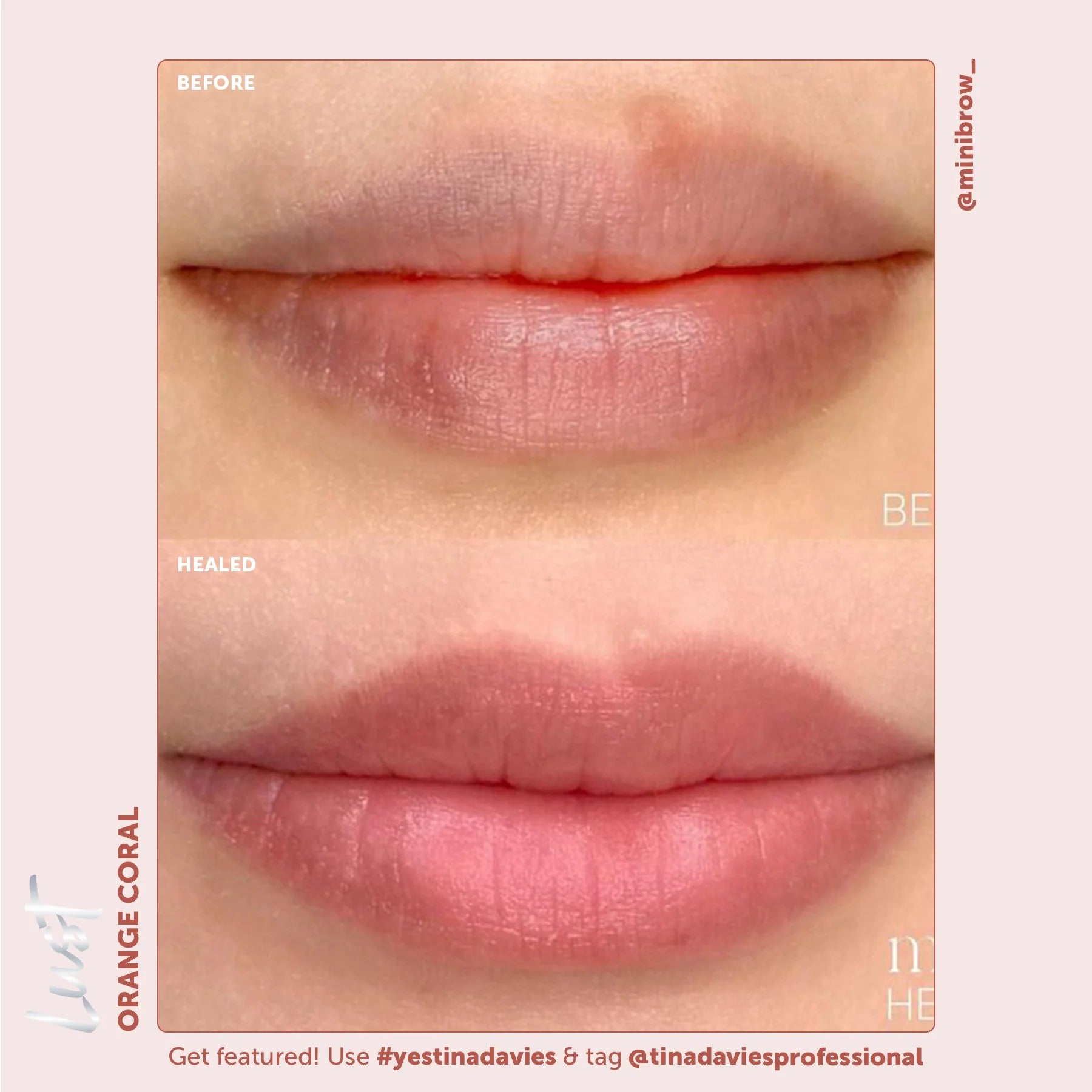 Lip Pigments - Lust Lip Pigments Orange Coral 15ml – Tina Davies x Perma Blend | Warm Orange-Red PMU Lip Blush Pigment for Lip Neutralization & Lip Tattoo Ink