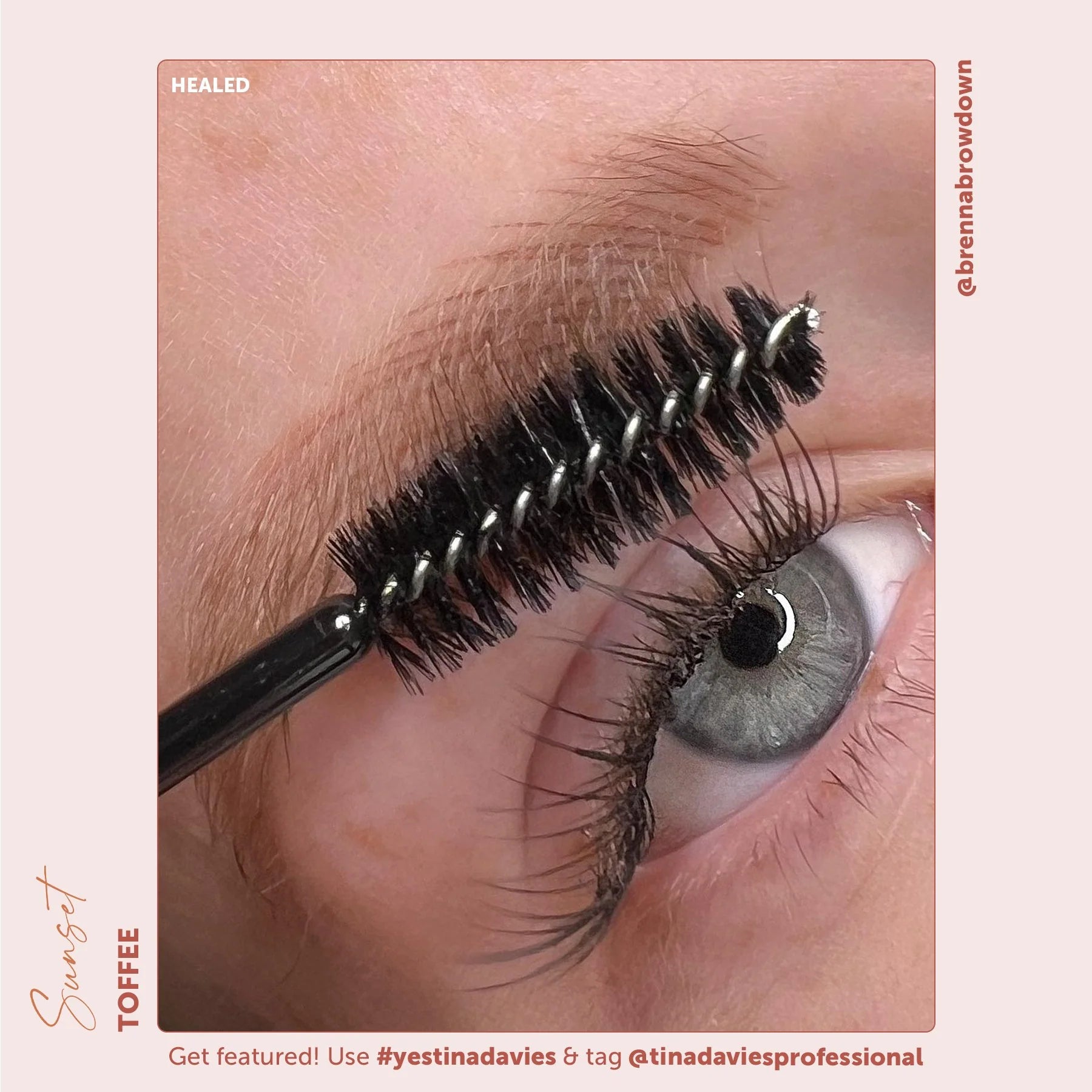 Eyebrow Pigment – Toffee 15ml Sunset Brow Pigments - Perma Blend | Permanent Makeup SPMU Eyebrow Ink for Microblading, Ombré Brows & Powder Brows | Cool Brown Professional Pigment