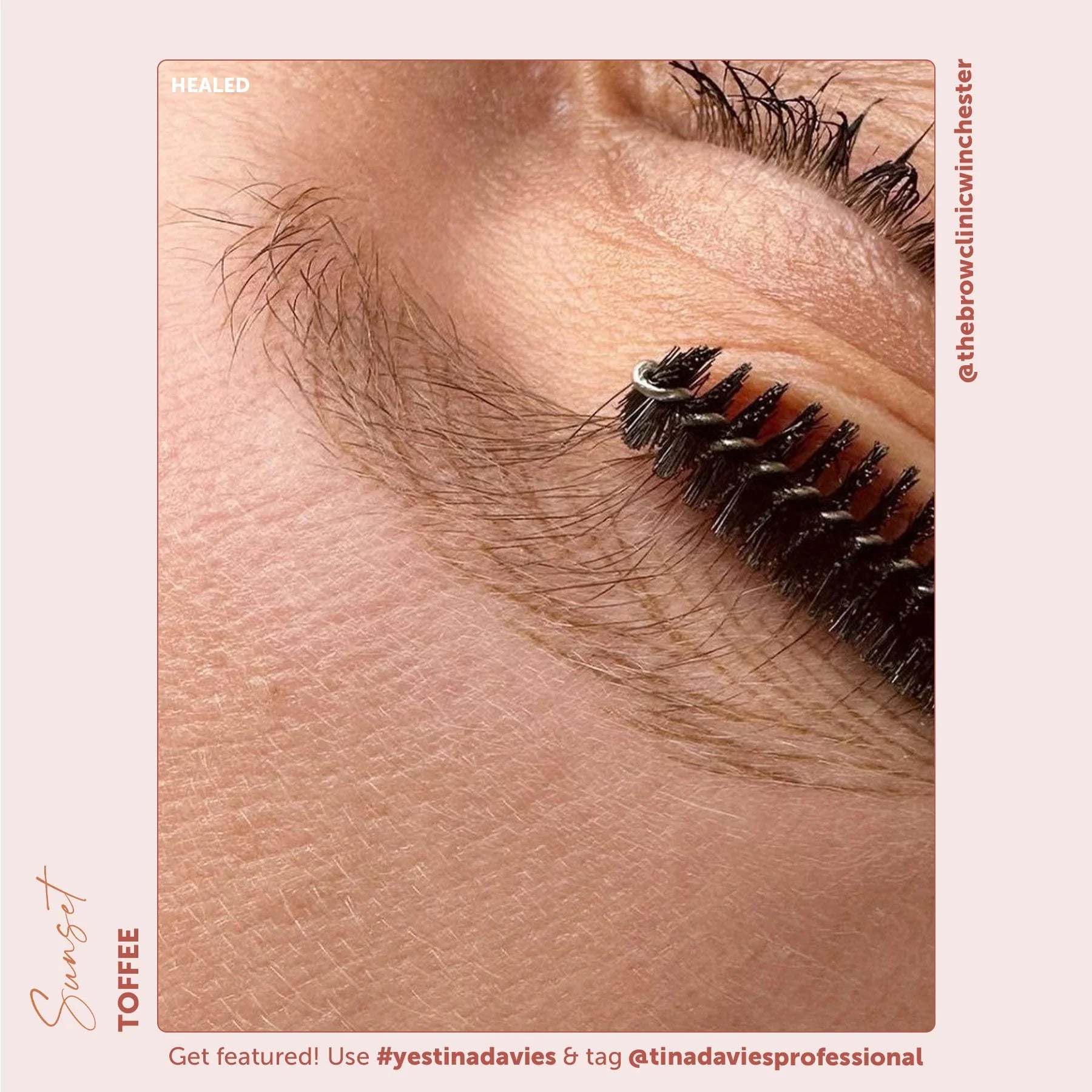 Eyebrow Pigment – Toffee 15ml Sunset Brow Pigments - Perma Blend | Permanent Makeup SPMU Eyebrow Ink for Microblading, Ombré Brows & Powder Brows | Cool Brown Professional Pigment