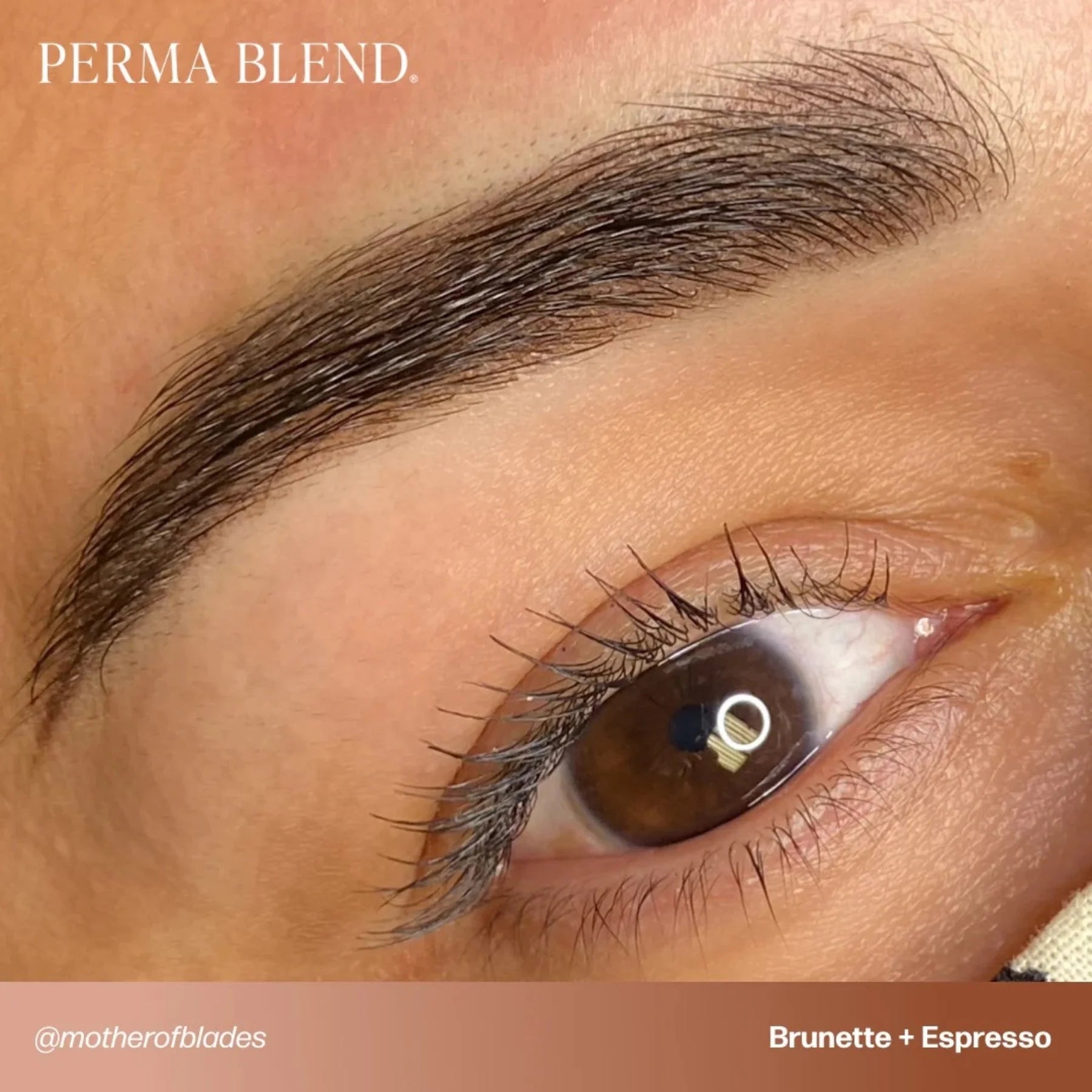 صبغة حواجب - Brunette 15مل تينا ديفيس آي لوف إنك | حبر وشم تجميلي دائم للحواجب لتقنية المايكروبليدنج وحواجب الأومبري وحواجب البودرة | صبغة احترافية بنية باردة