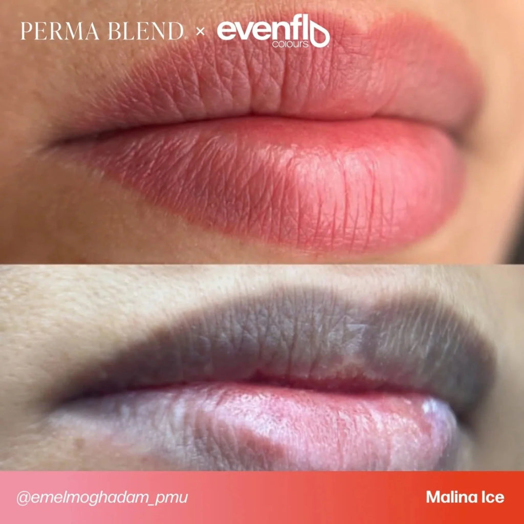 Lip Pigment – Evenflo Lip Shade Malina Ice 15ml | Professional PMU Lip Blush Pigment for Lip Neutralization, Lip Correction, Lip Tattoo & Semi Permanent Makeup Ink