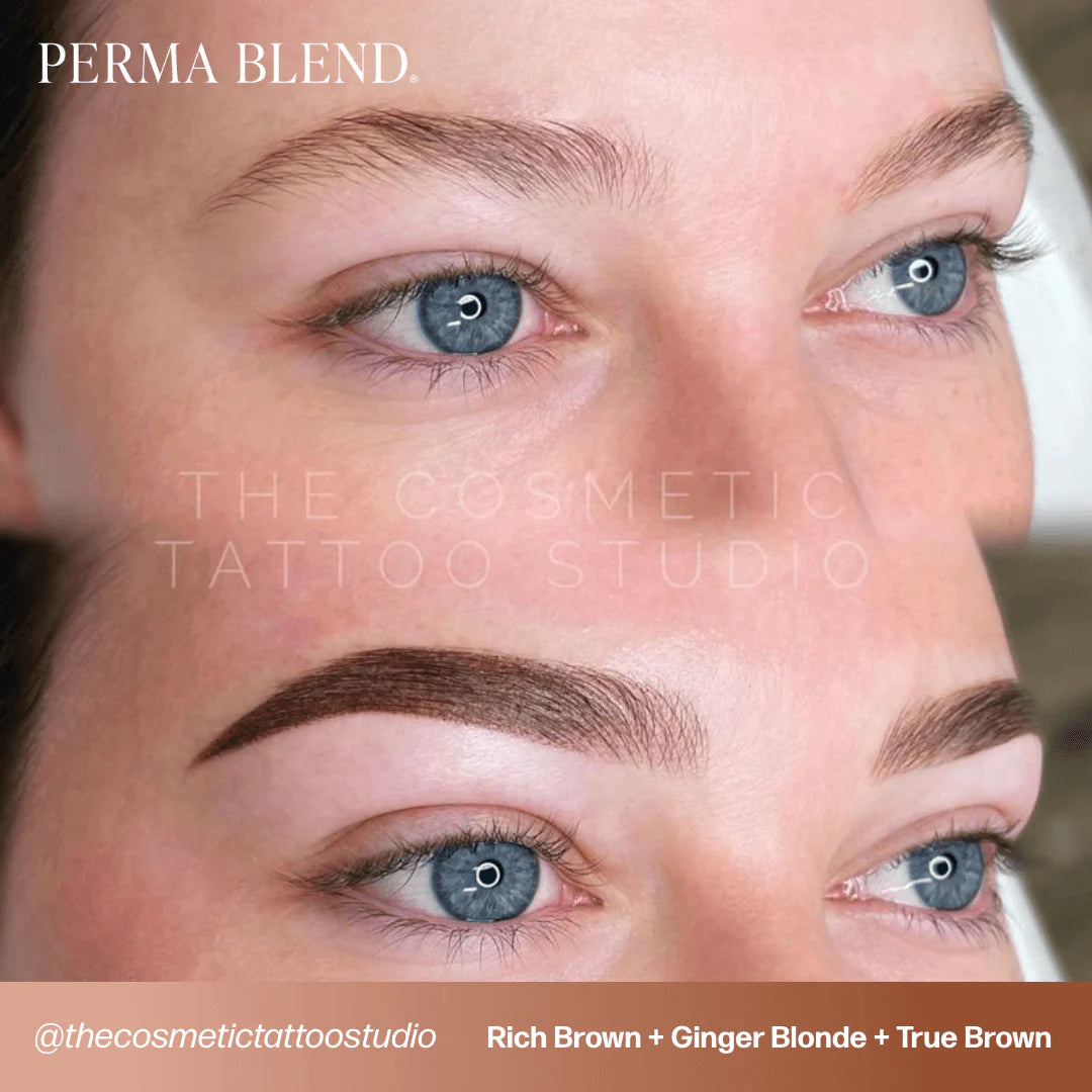 Eyebrow Pigment Set – Perma Blend Sun-Kissed Palette 8x15ml | Permanent Makeup SPMU Eyebrow Ink for Microblading, Ombré Brows & Powder Brows | Cool Brown Professional Pigment Set