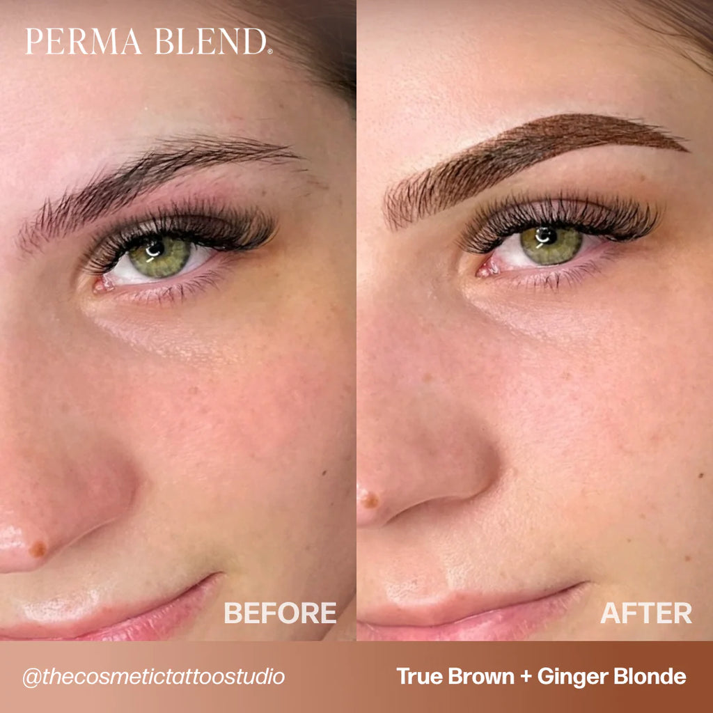 Eyebrow Pigment Set – Perma Blend Sun-Kissed Palette 8x15ml | Permanent Makeup SPMU Eyebrow Ink for Microblading, Ombré Brows & Powder Brows | Cool Brown Professional Pigment Set