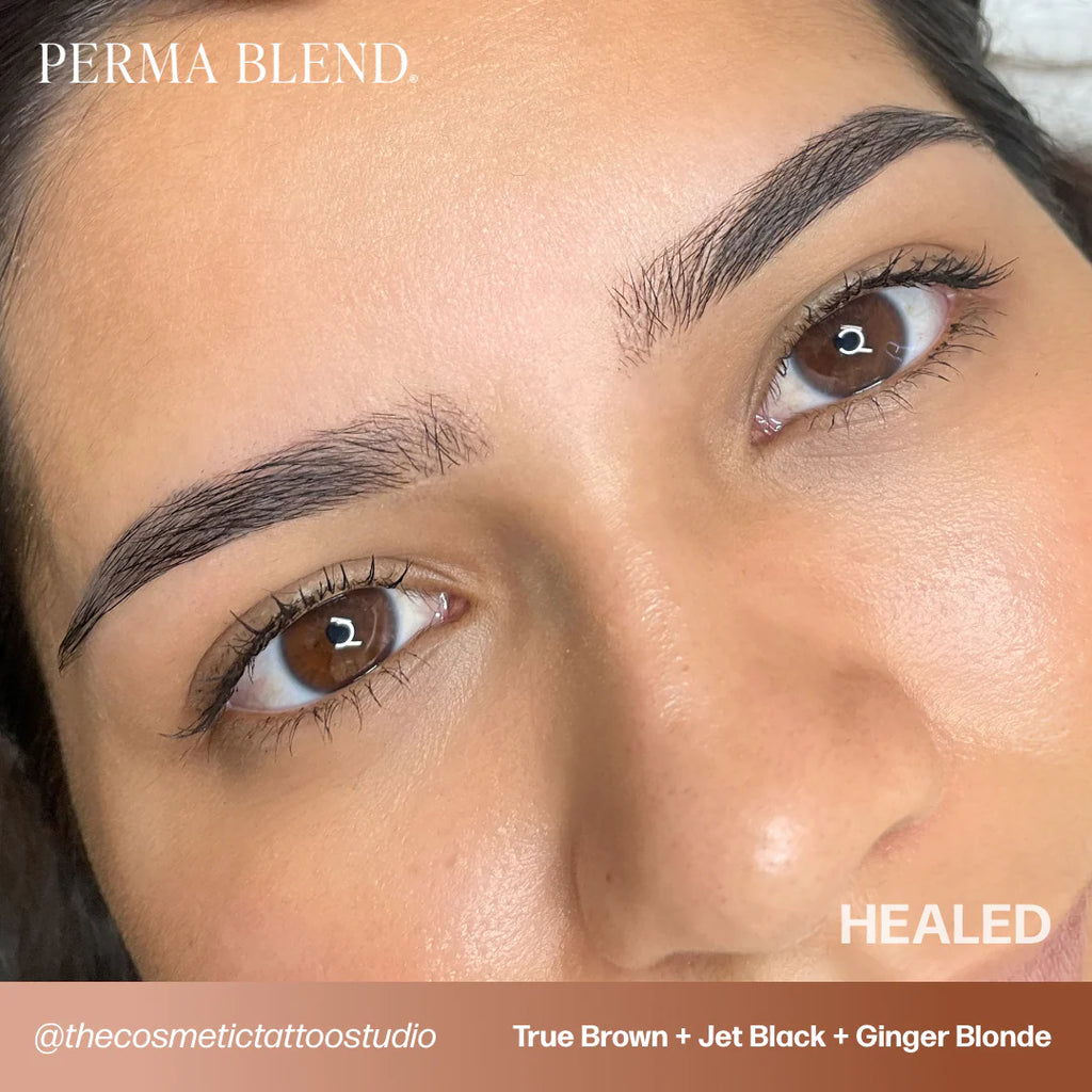 Eyebrow Pigment Set – Perma Blend Sun-Kissed Palette 8x15ml | Permanent Makeup SPMU Eyebrow Ink for Microblading, Ombré Brows & Powder Brows | Cool Brown Professional Pigment Set