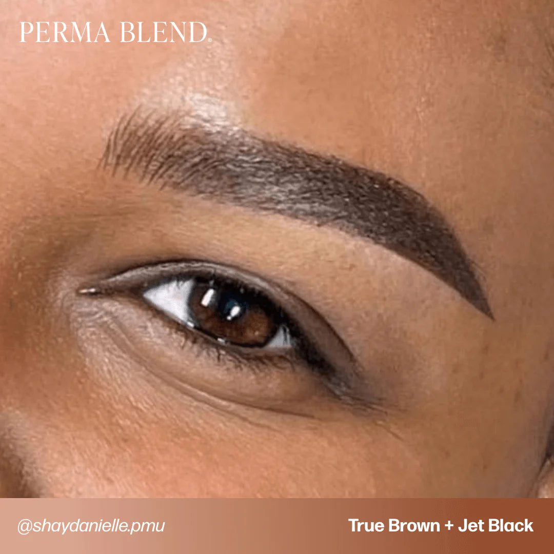 Eyebrow Pigment Set – Perma Blend Sun-Kissed Palette 8x15ml | Permanent Makeup SPMU Eyebrow Ink for Microblading, Ombré Brows & Powder Brows | Cool Brown Professional Pigment Set