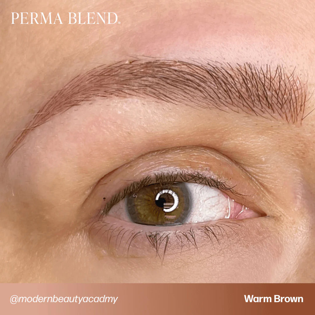 Eyebrow Pigment Set – Perma Blend Sun-Kissed Palette 8x15ml | Permanent Makeup SPMU Eyebrow Ink for Microblading, Ombré Brows & Powder Brows | Cool Brown Professional Pigment Set