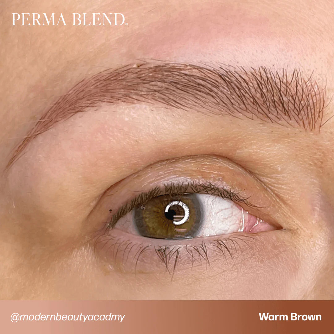 Eyebrow Pigment Set – Perma Blend Sun-Kissed Palette 8x15ml | Permanent Makeup SPMU Eyebrow Ink for Microblading, Ombré Brows & Powder Brows | Cool Brown Professional Pigment Set