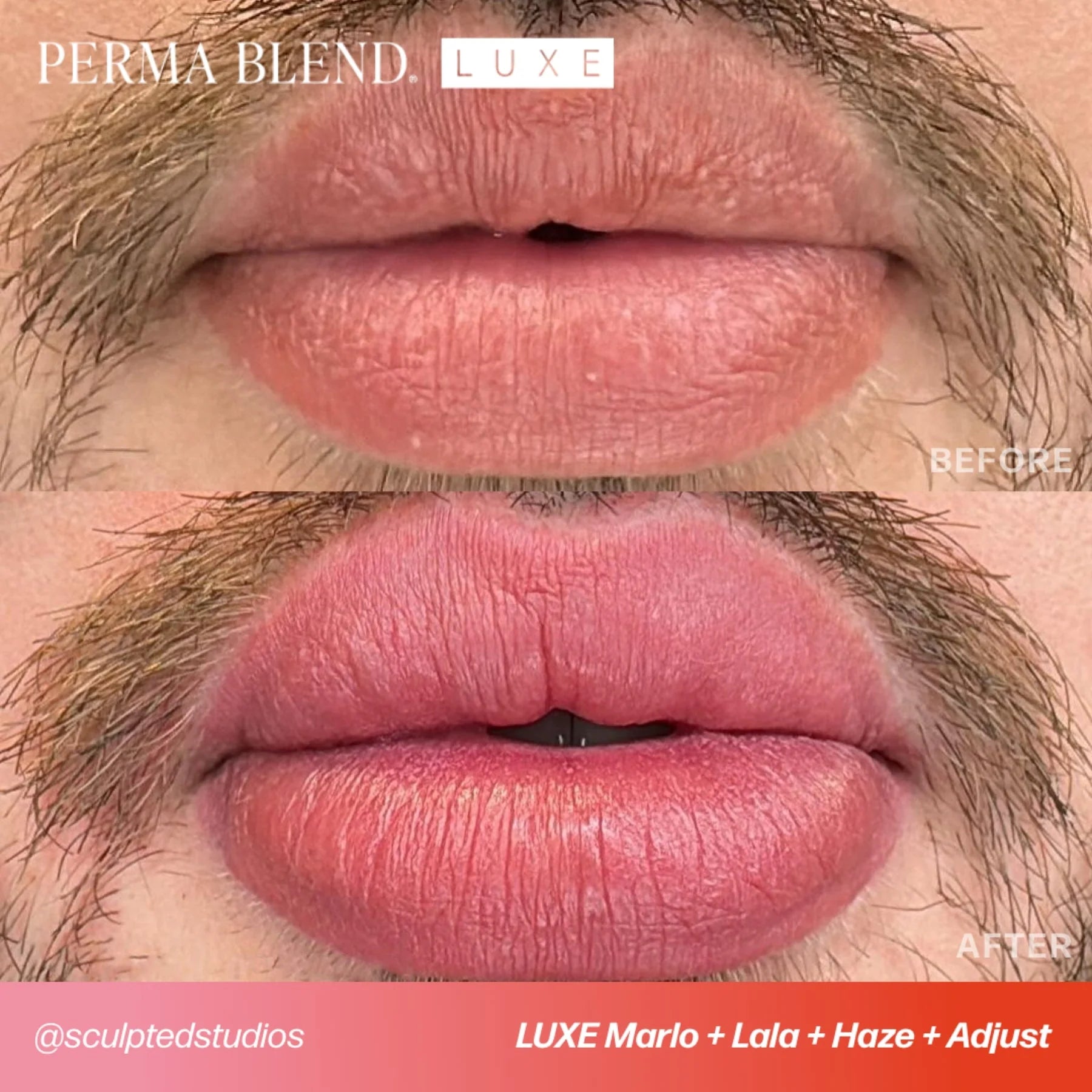 Lip Pigment – Perma Blend LUXE Lip Pigment Marlo (Carla Ricciardone Enhance) 15ml | Lip Blush Pigment, Lip Tattoo Ink, SPMU Lip Color, Semi Permanent Makeup Lip Shade