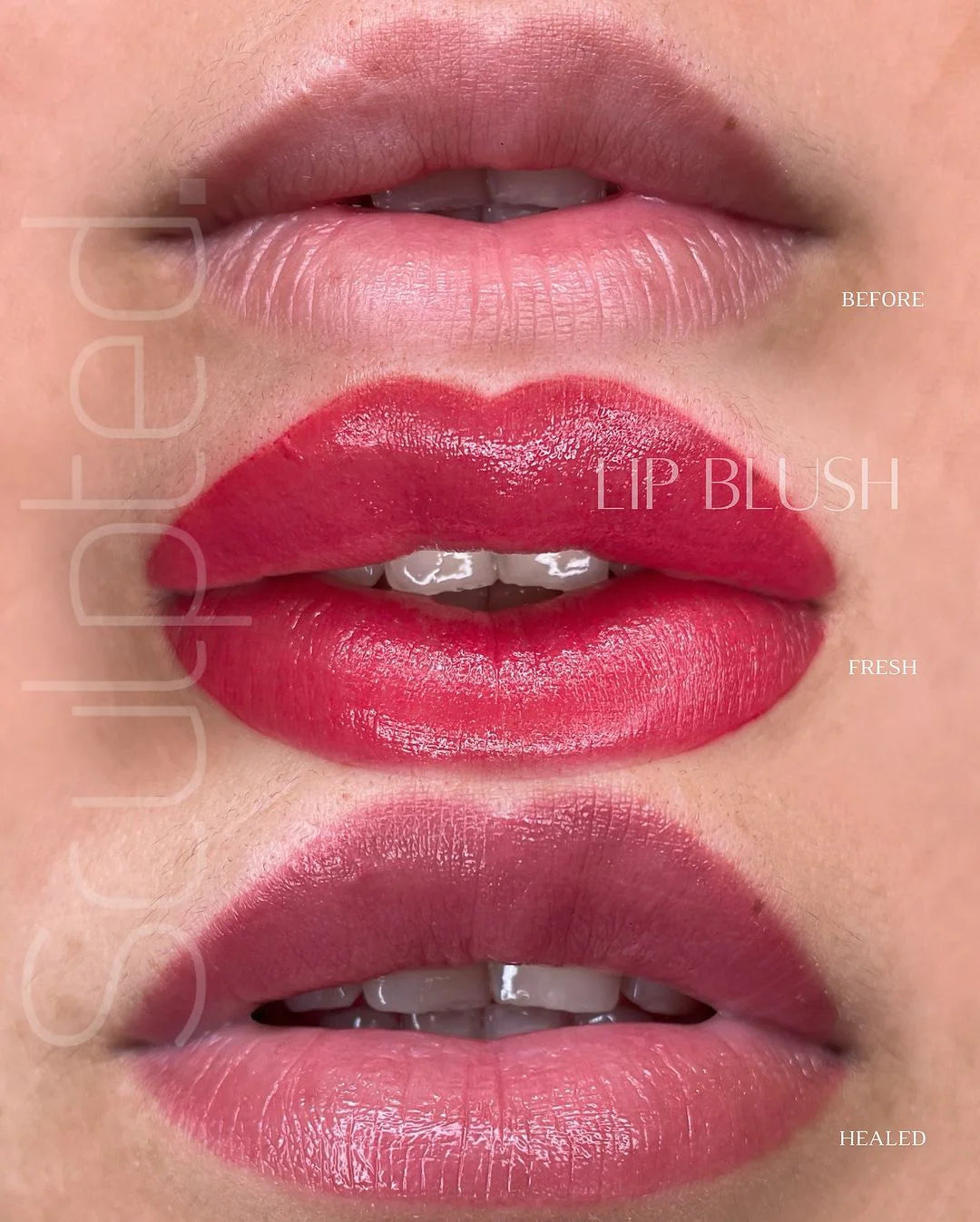 Lip Pigment – Perma Blend LUXE Lip Pigment Marlo (Carla Ricciardone Enhance) 15ml | Lip Blush Pigment, Lip Tattoo Ink, SPMU Lip Color, Semi Permanent Makeup Lip Shade