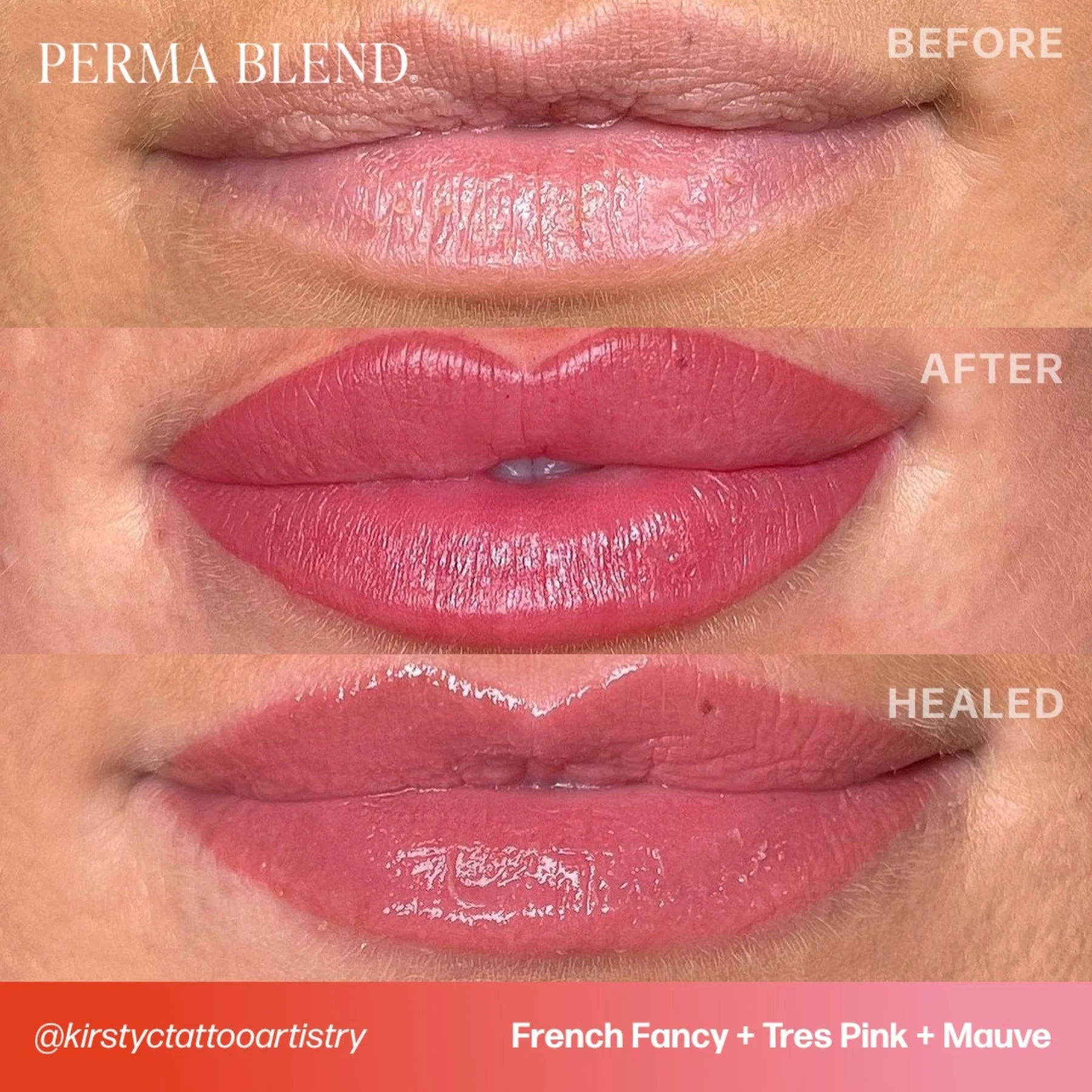 Lip Pigments – Perma Blend Lip Pigment Mauve 15ml | Perma Blend Professional PMU Lip Blush Pigment for Lip Neutralization, Lip Correction, Lip Tattoo & Semi Permanent Makeup Ink