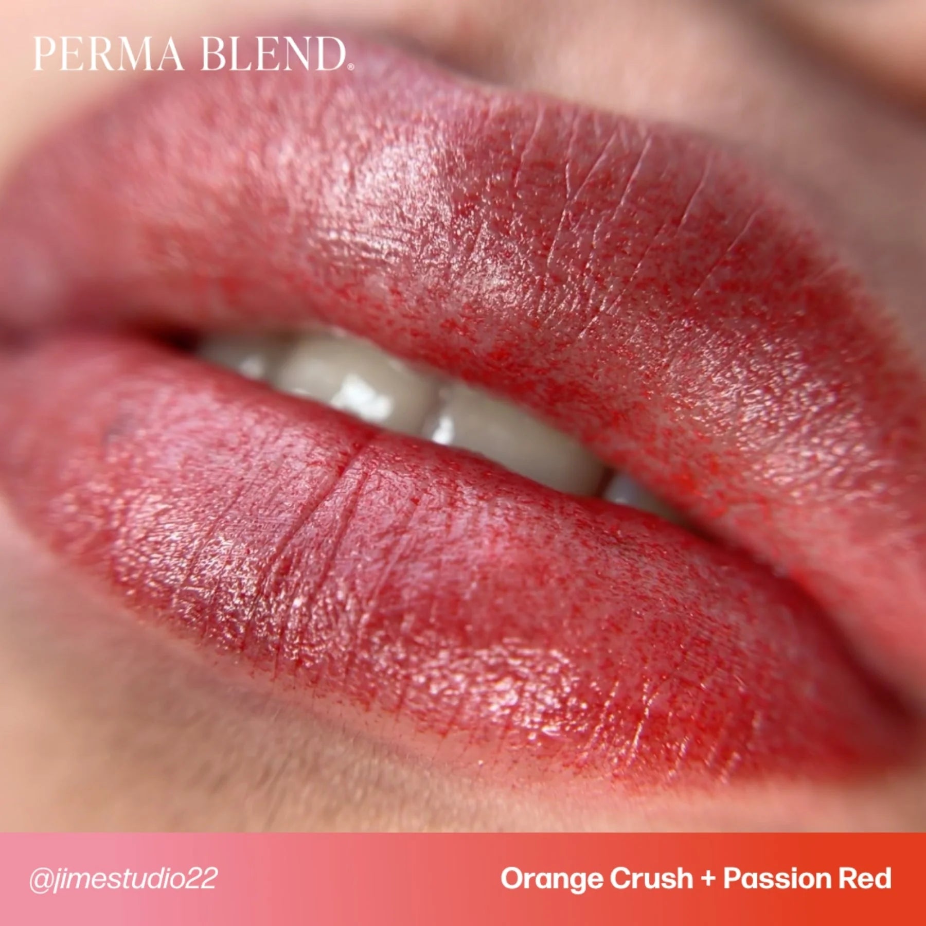 Lip Pigment – Perma Blend Passion Red 15ml | Professional PMU Lip Blush Pigment for Lip Tattoo, Lip Neutralization, Lip Correction, Semi Permanent Makeup Ink & Cosmetic Tattoo