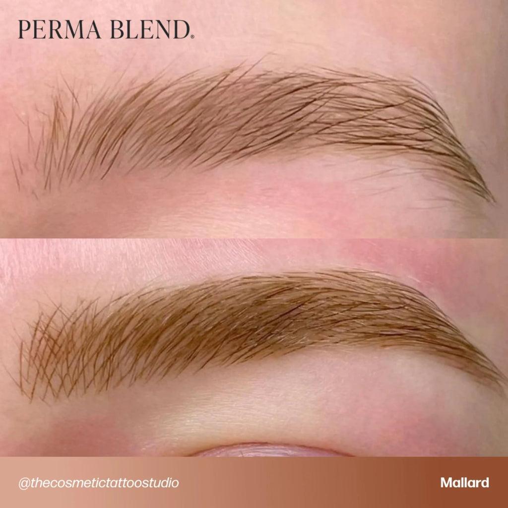 صبغة الحواجب - Mallard 15ml Perma Blend | حبر حواجب SPMU للمكياج الدائم للميكروبليدنج وحواجب الأومبري والحواجب البودرة | صبغة احترافية باللون البني البارد