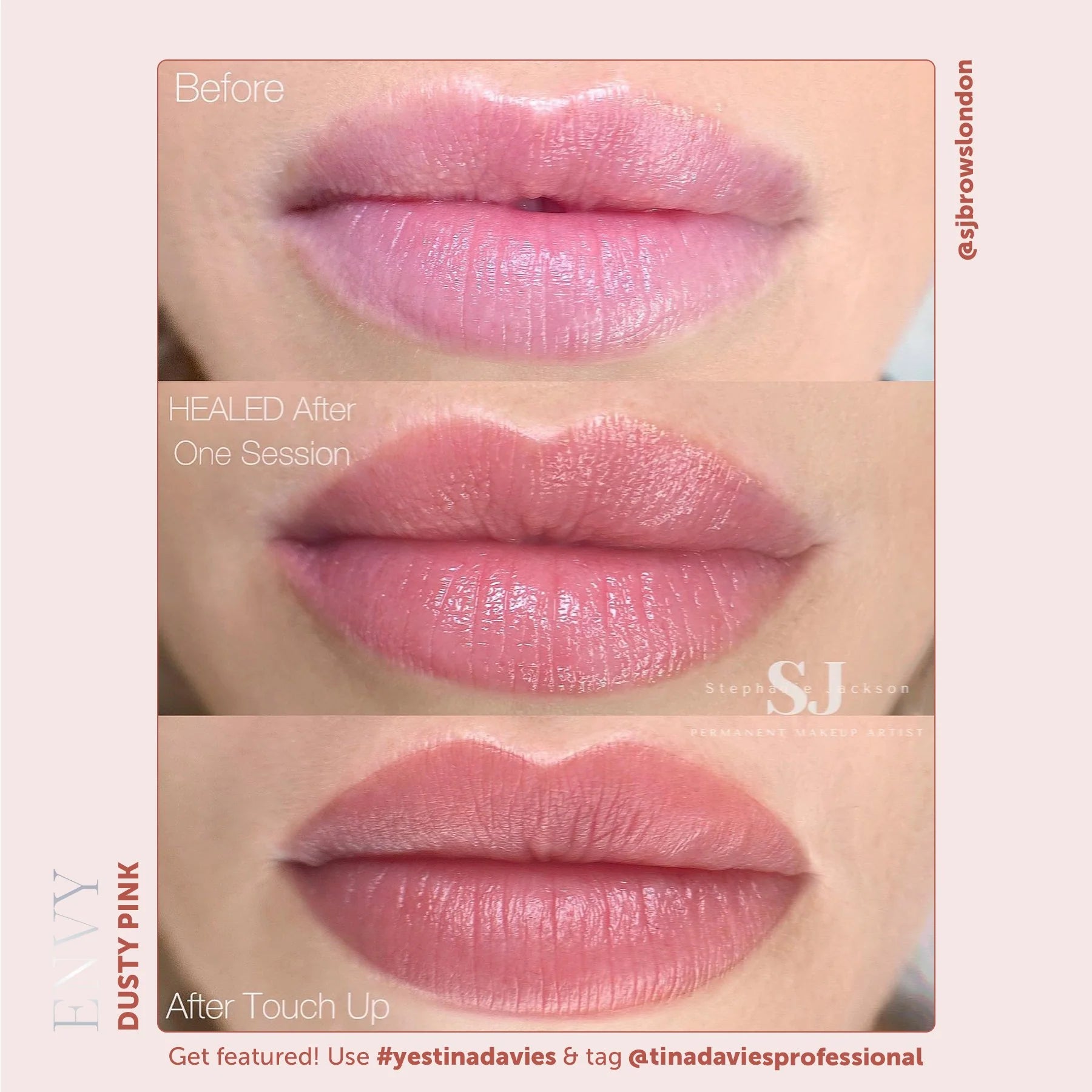 Lip Pigments – Envy Lip Pigments Dusty Pink 15ml | Tina Davies x Perma Blend Luxe Professional PMU Lip Blush Pigment for Lip Neutralization, Lip Correction & Lip Tattoo Ink