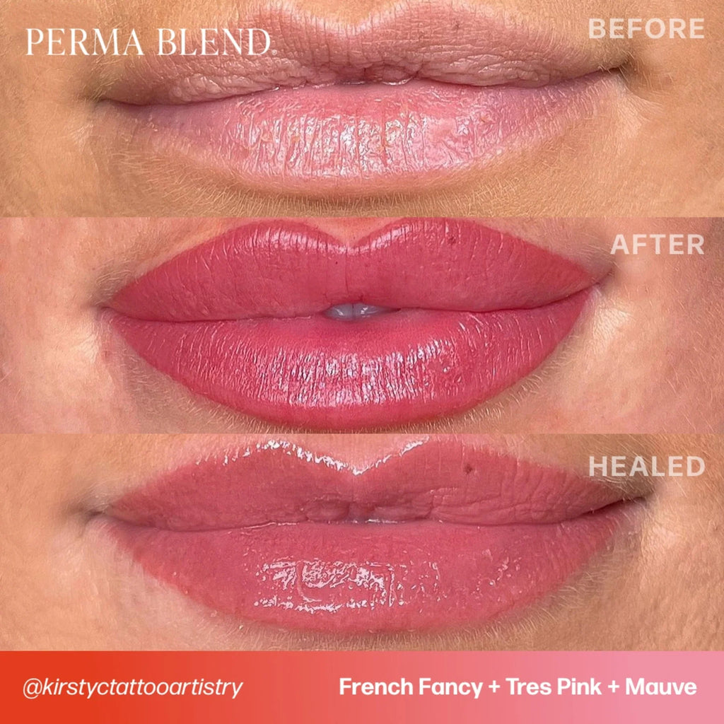 Lip Pigments – Perma Blend Lip Pigment French Fancy 15ml | Perma Blend Professional PMU Lip Blush Pigment for Lip Neutralization, Lip Correction, Lip Tattoo & Semi Permanent Makeup Ink