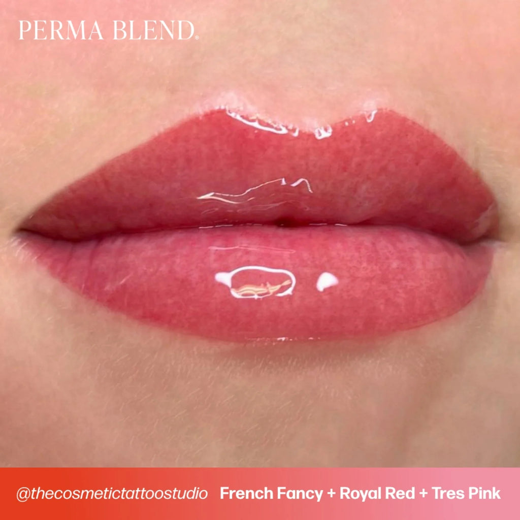 Lip Pigments – Perma Blend Lip Pigment French Fancy 15ml | Perma Blend Professional PMU Lip Blush Pigment for Lip Neutralization, Lip Correction, Lip Tattoo & Semi Permanent Makeup Ink