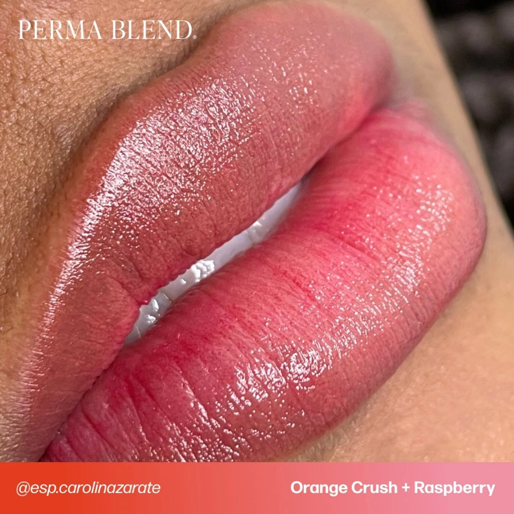 Lip Pigments – Perma Blend Lip Pigment Raspberry 15ml | Perma Blend Professional PMU Lip Blush Pigment for Lip Neutralization, Lip Correction, Lip Tattoo & Semi Permanent Makeup Ink