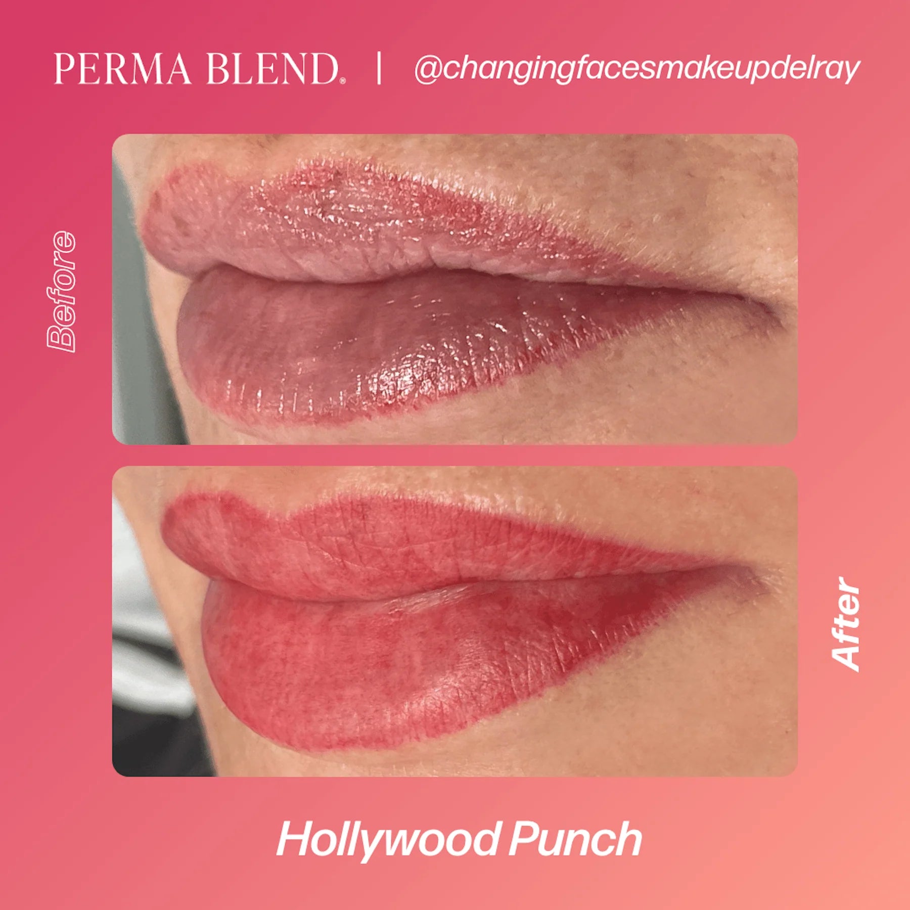 Lip Pigments – Perma Blend Lip Pigment Hollywood Punch 15ml | Perma Blend Professional PMU Lip Blush Pigment for Lip Neutralization, Lip Correction, Lip Tattoo & Semi Permanent Makeup Ink
