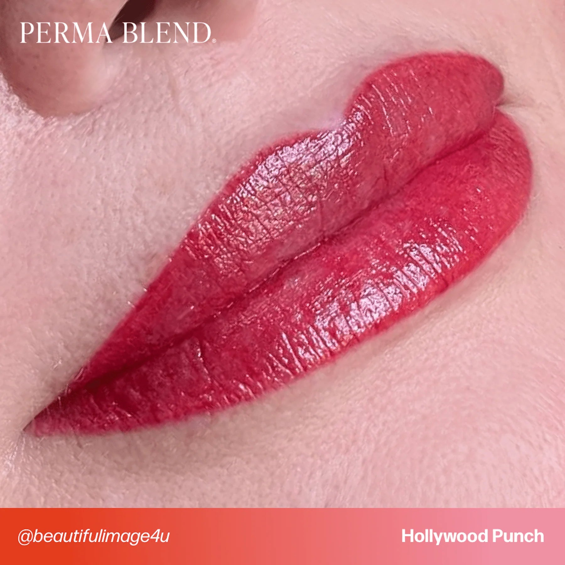 Lip Pigments – Perma Blend Lip Pigment Hollywood Punch 15ml | Perma Blend Professional PMU Lip Blush Pigment for Lip Neutralization, Lip Correction, Lip Tattoo & Semi Permanent Makeup Ink