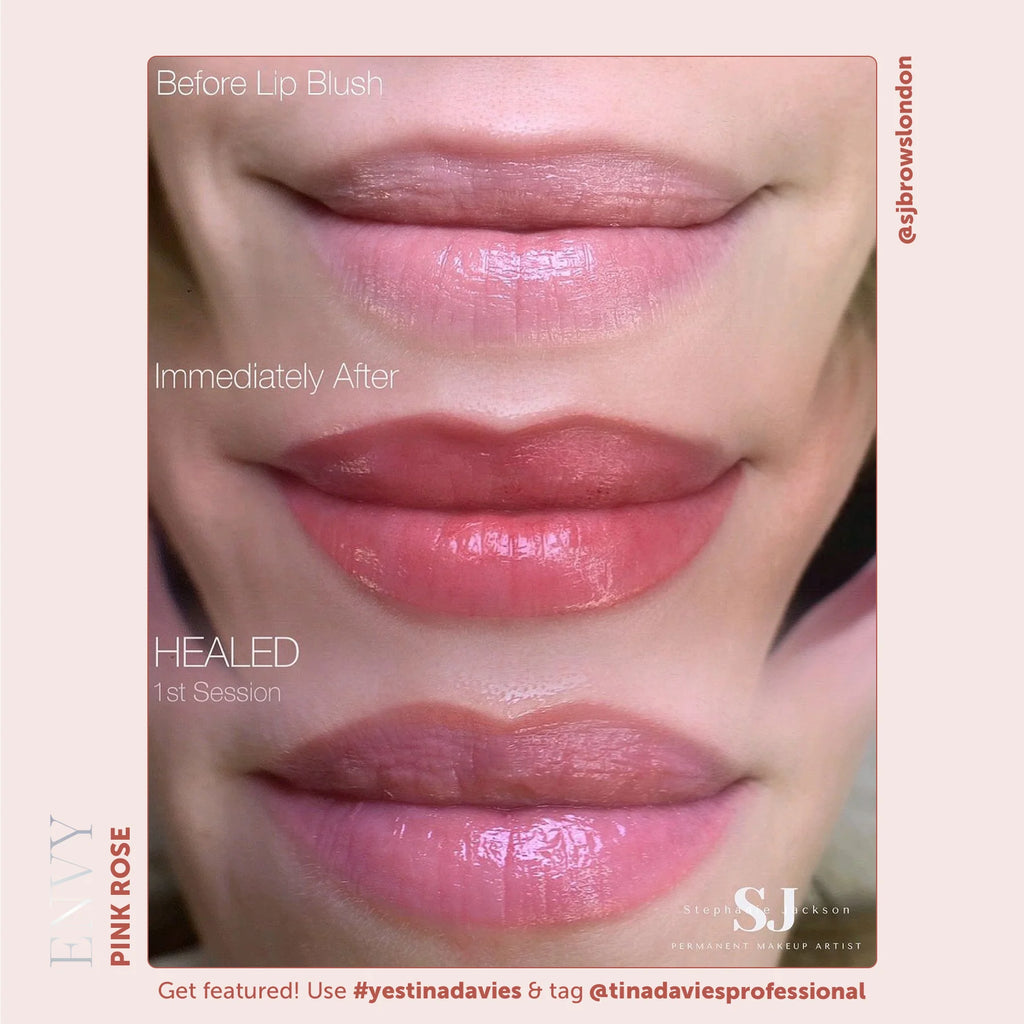 Lip Pigments – Envy Lip Pigments Pink Rose 15ml | Tina Davies x Perma Blend Luxe Professional PMU Lip Blush Pigment for Lip Neutralization, Lip Correction & Lip Tattoo Ink