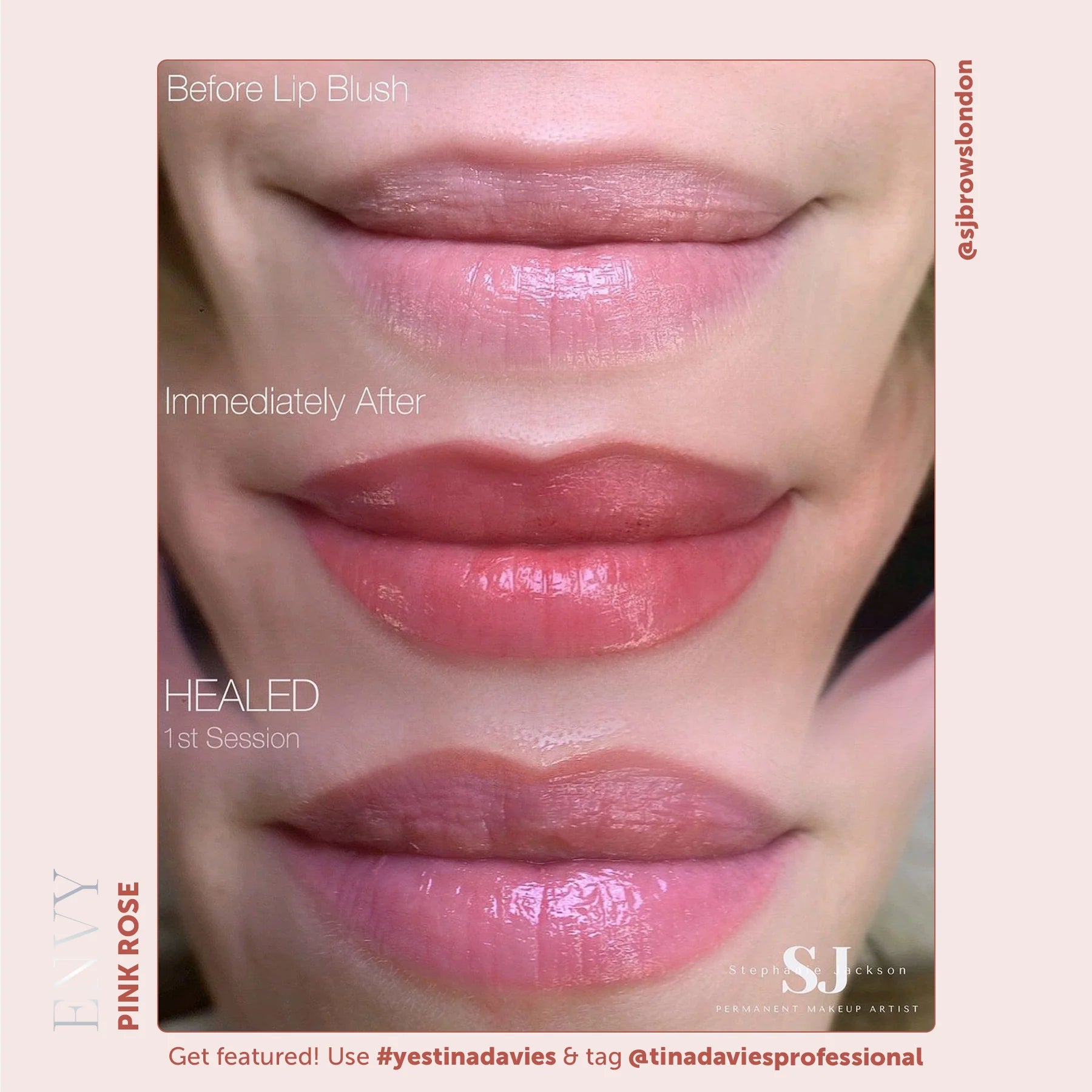 Lip Pigments – Envy Lip Pigments Pink Rose 15ml | Tina Davies x Perma Blend Luxe Professional PMU Lip Blush Pigment for Lip Neutralization, Lip Correction & Lip Tattoo Ink