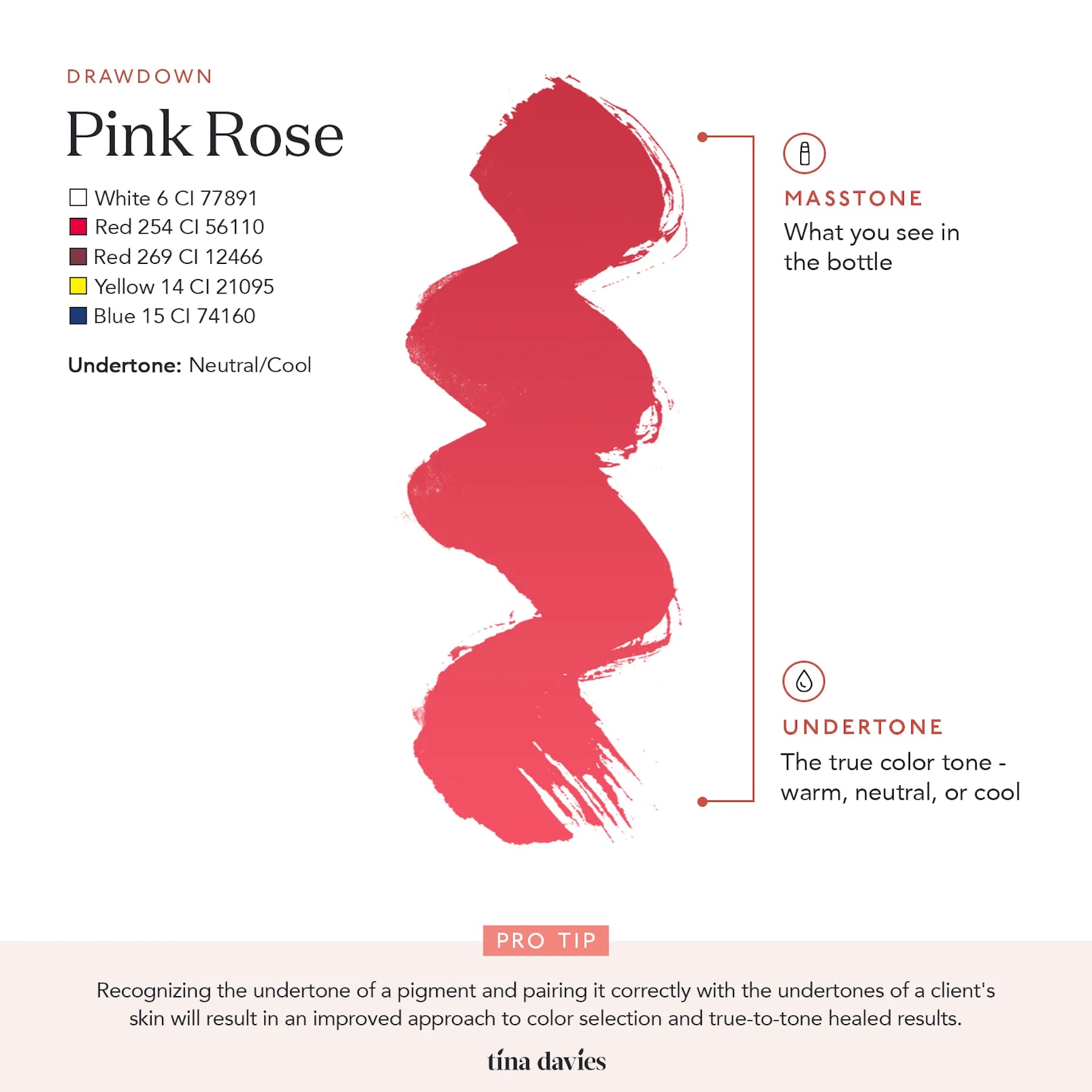 Lip Pigments – Envy Lip Pigments Pink Rose 15ml | Tina Davies x Perma Blend Luxe Professional PMU Lip Blush Pigment for Lip Neutralization, Lip Correction & Lip Tattoo Ink