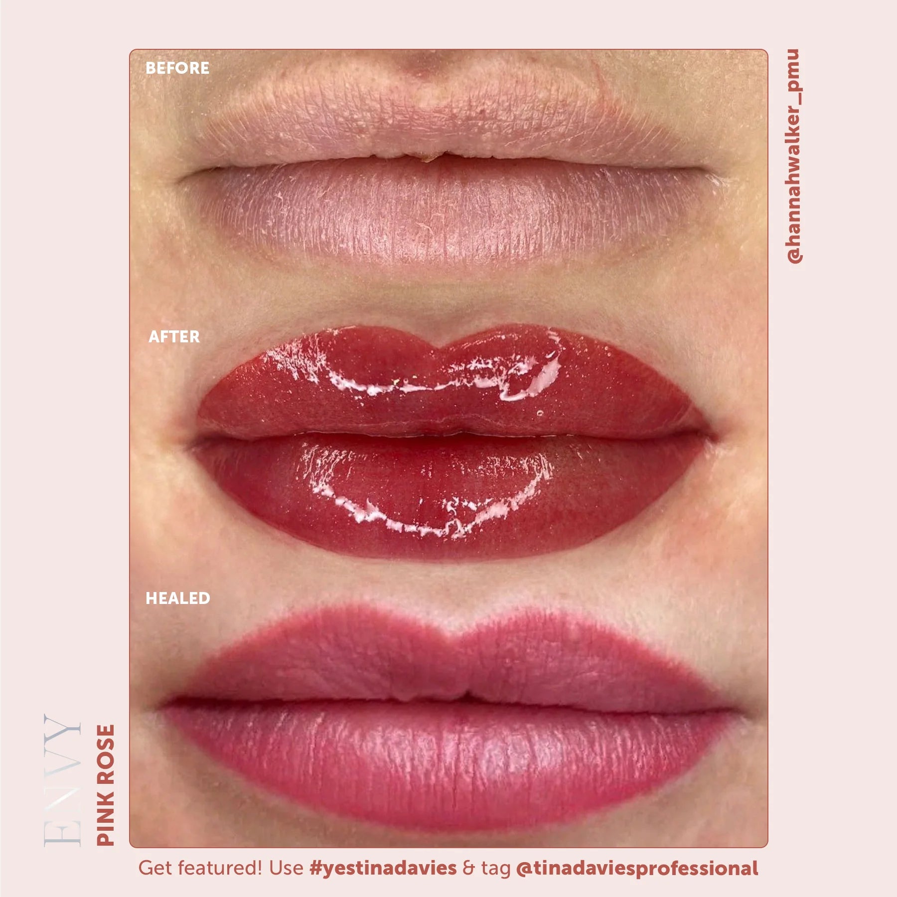 Lip Pigments – Envy Lip Pigments Pink Rose 15ml | Tina Davies x Perma Blend Luxe Professional PMU Lip Blush Pigment for Lip Neutralization, Lip Correction & Lip Tattoo Ink