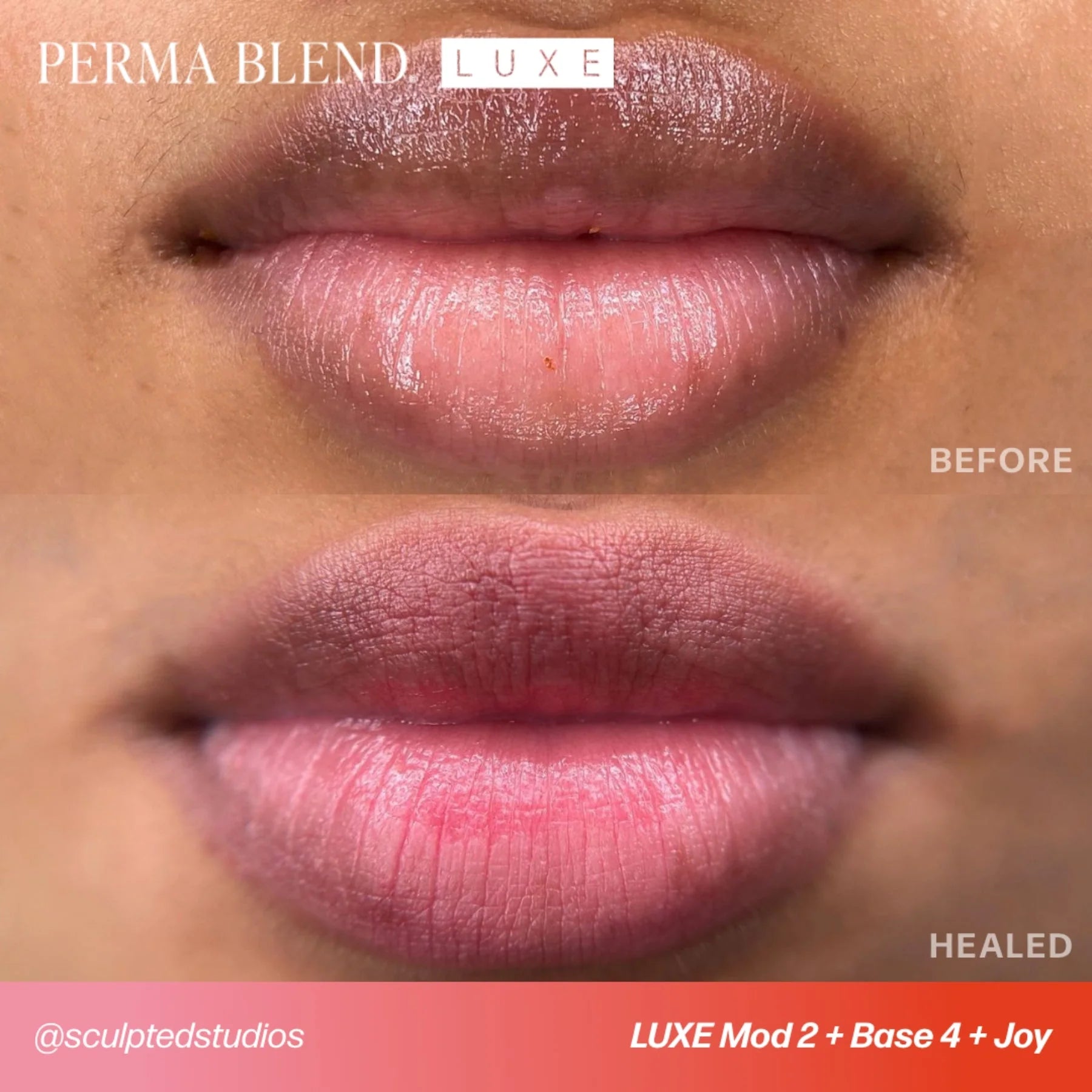 Lip Pigment – Perma Blend LUXE Embody Base 4 15ml by Carla Ricciardone | Lip Shades Collection | PMU Lip Blush & Neutral Base Lip Color