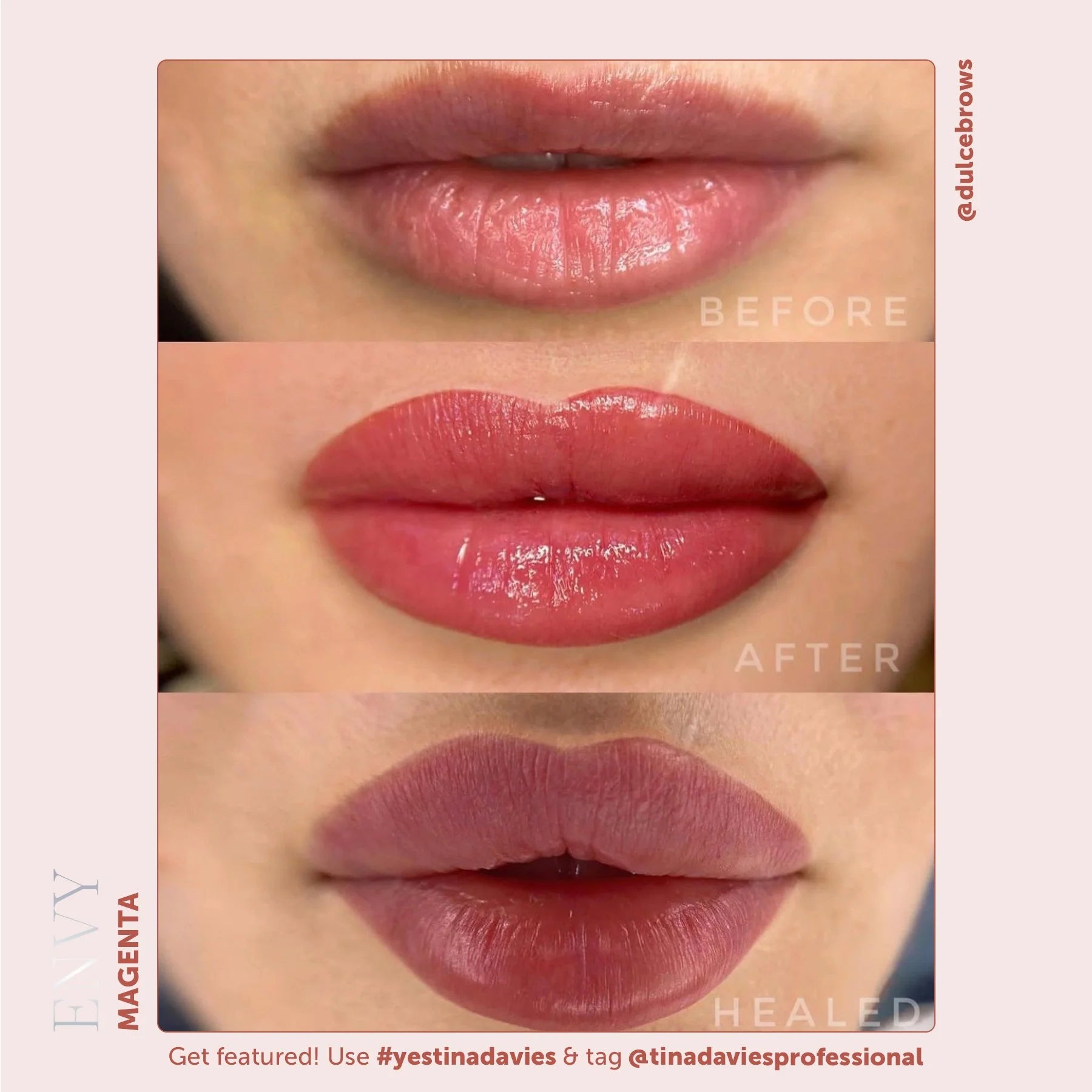 Lip Pigments – Envy Lip Pigments Magenta 15ml | Tina Davies x Perma Blend Luxe Professional PMU Lip Blush Pigment for Lip Neutralization, Lip Correction & Lip Tattoo Ink