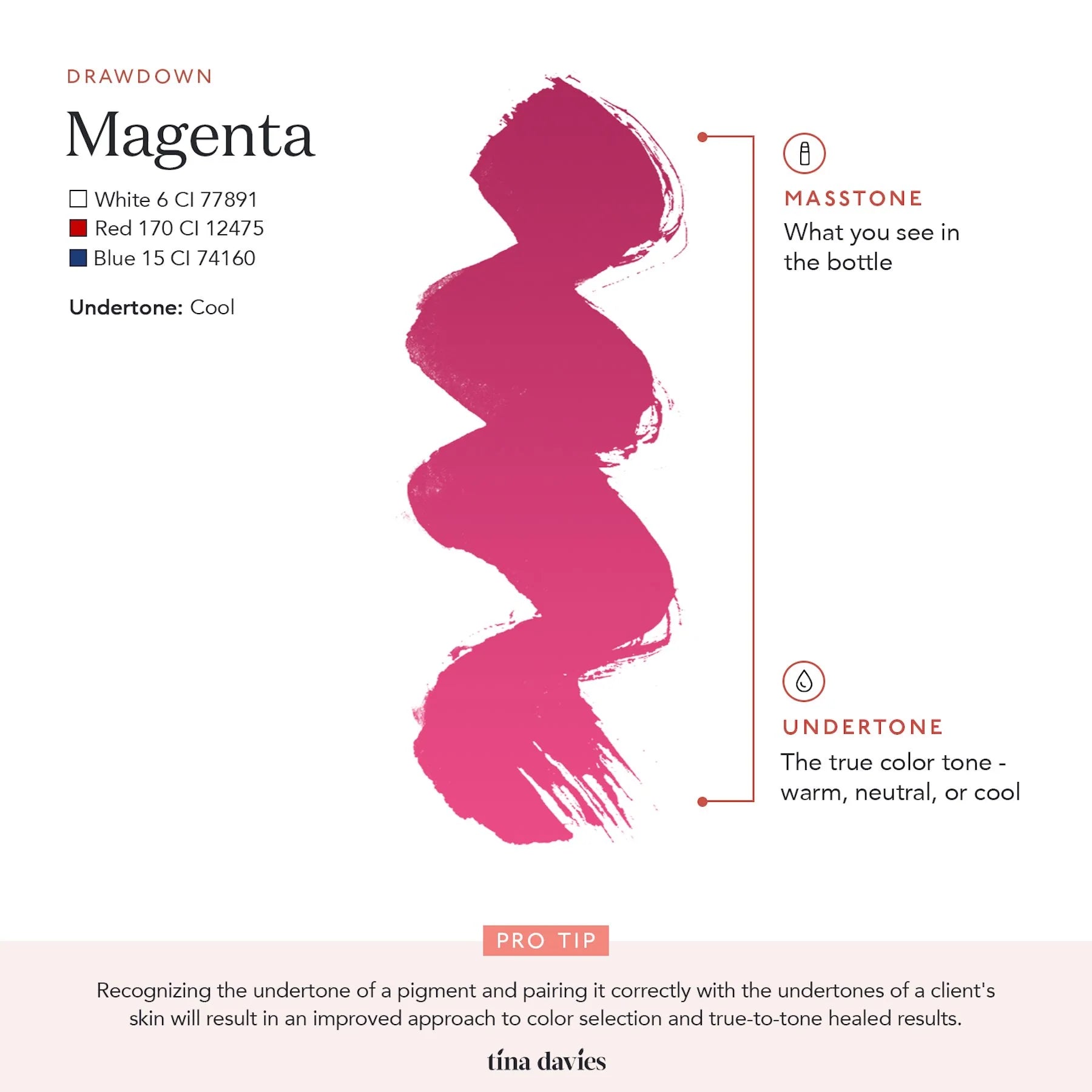 Lip Pigments – Envy Lip Pigments Magenta 15ml | Tina Davies x Perma Blend Luxe Professional PMU Lip Blush Pigment for Lip Neutralization, Lip Correction & Lip Tattoo Ink